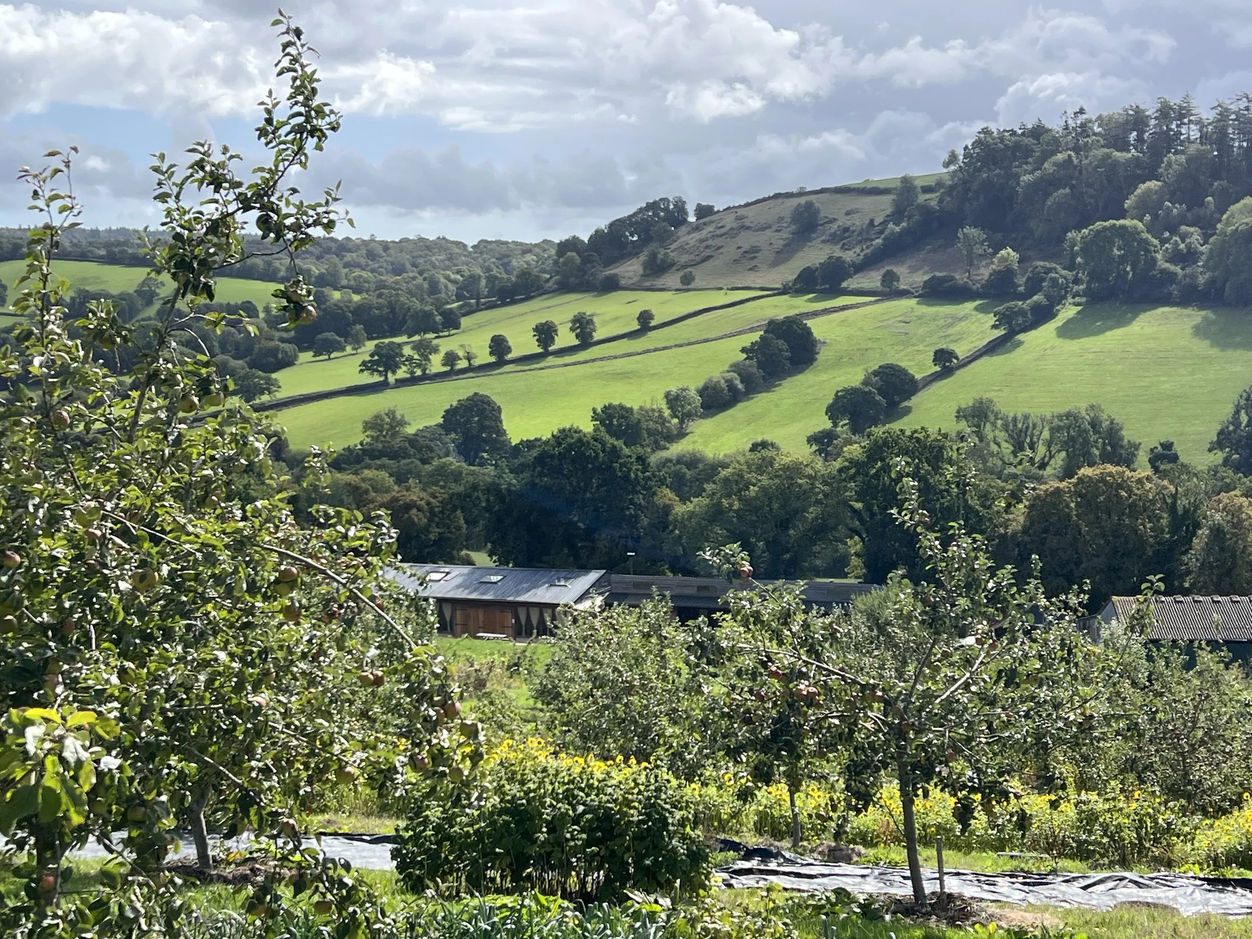 A Land Art Residency