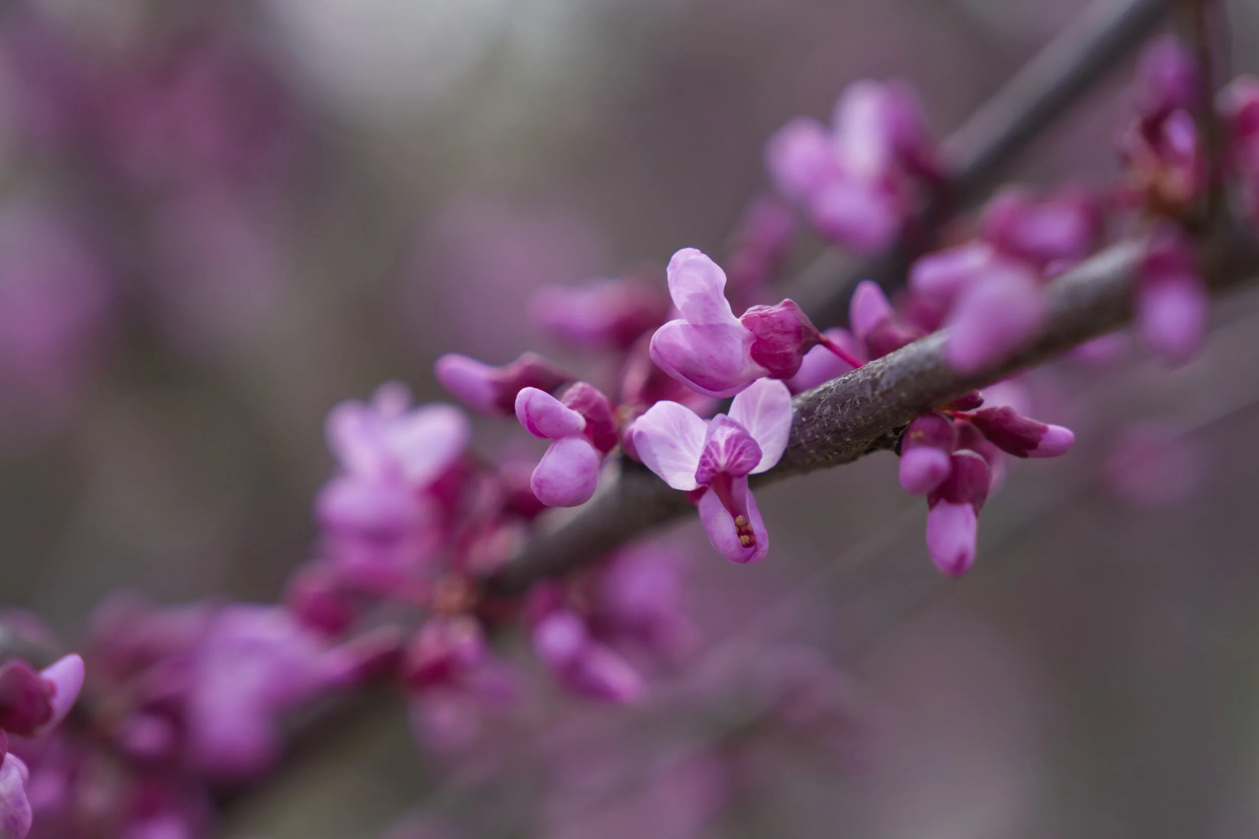 A7R06875.jpg