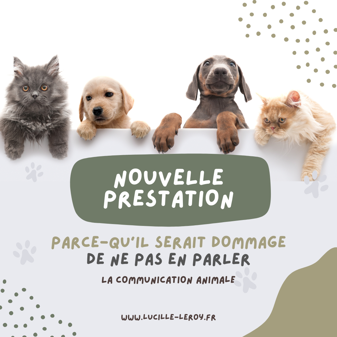 Communication animale standard