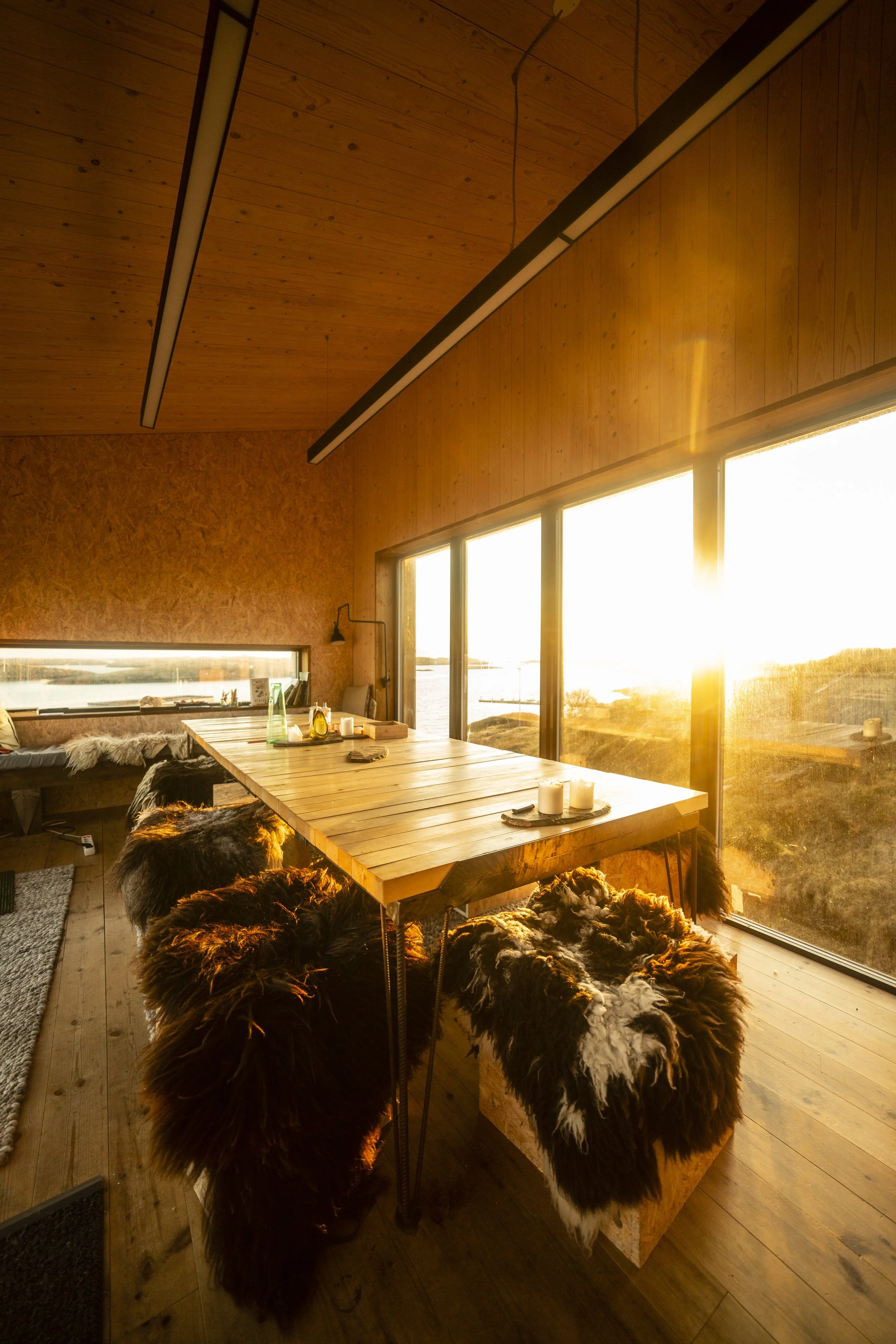 Jesse Beaman - Kitchen sunrise.jpg