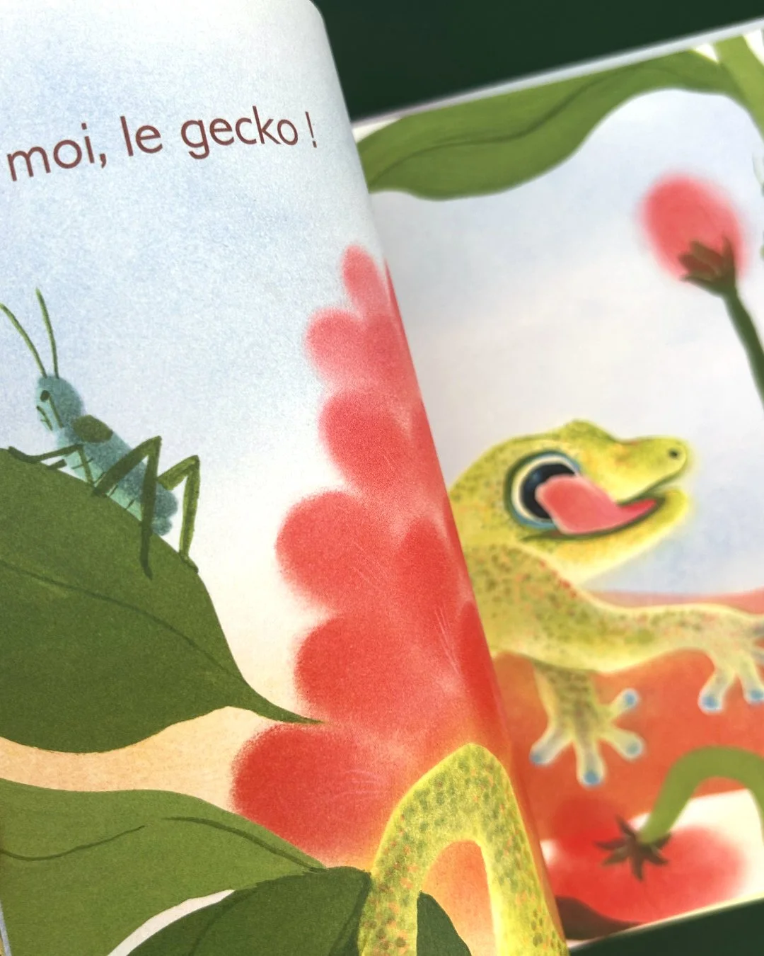 Insta-Langues-Album_6.jpg