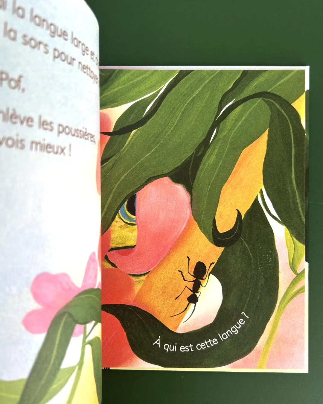 Insta-Langues-Album_4.jpg