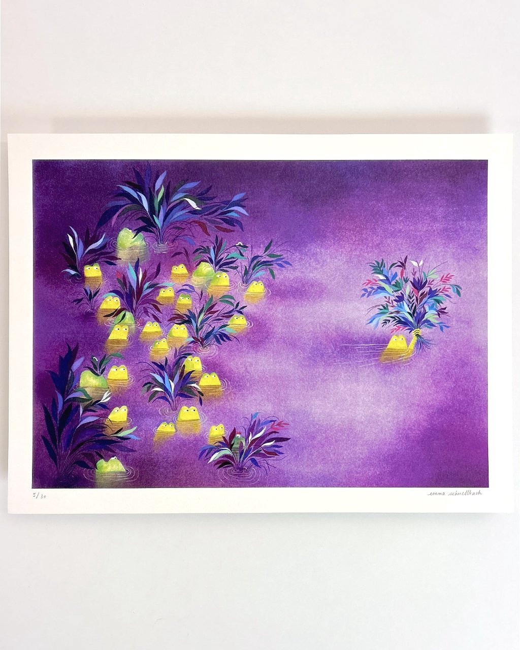Grenouilles+violettes+6_1.jpg