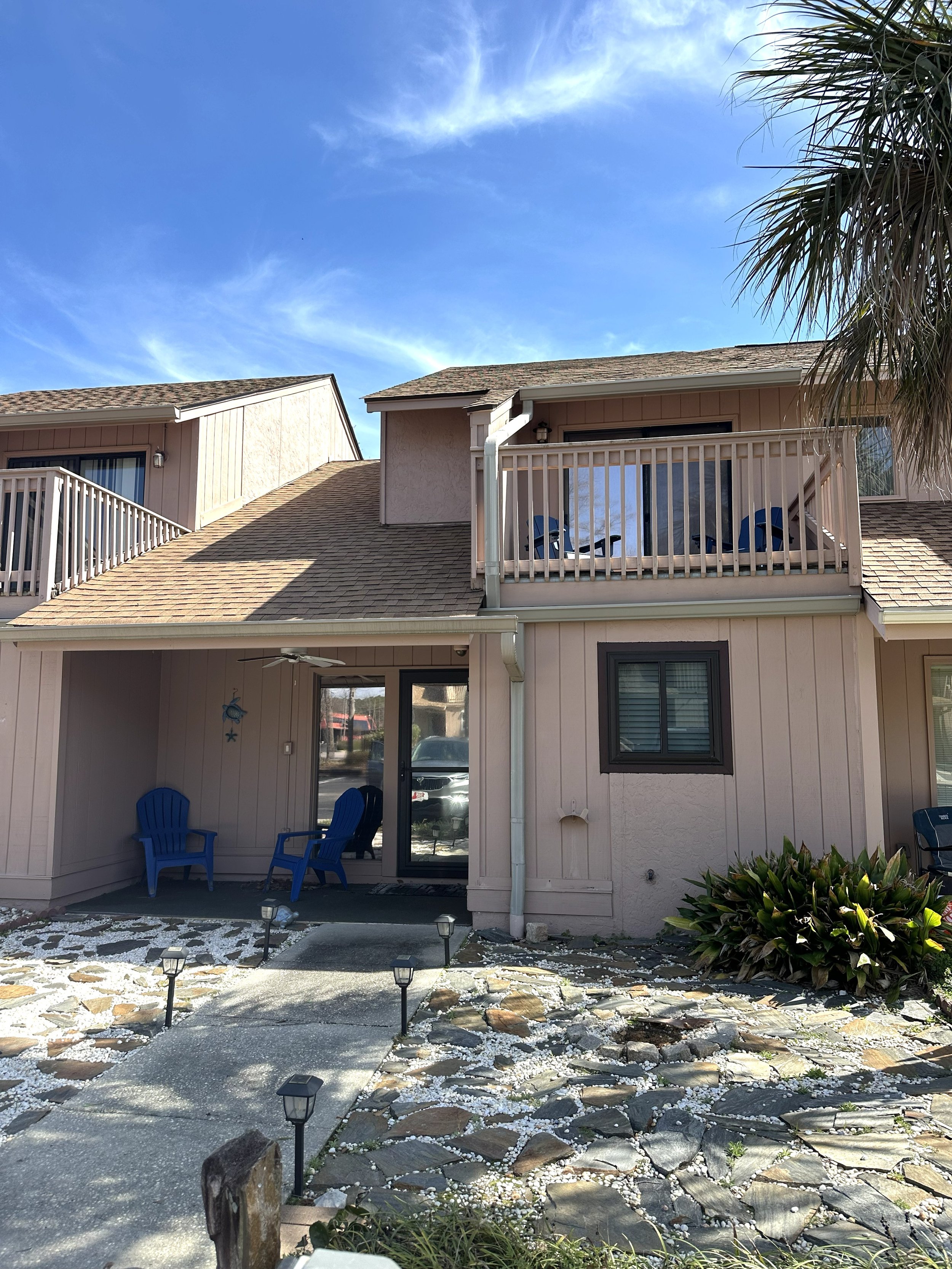 Biue Turtle Front.jpg