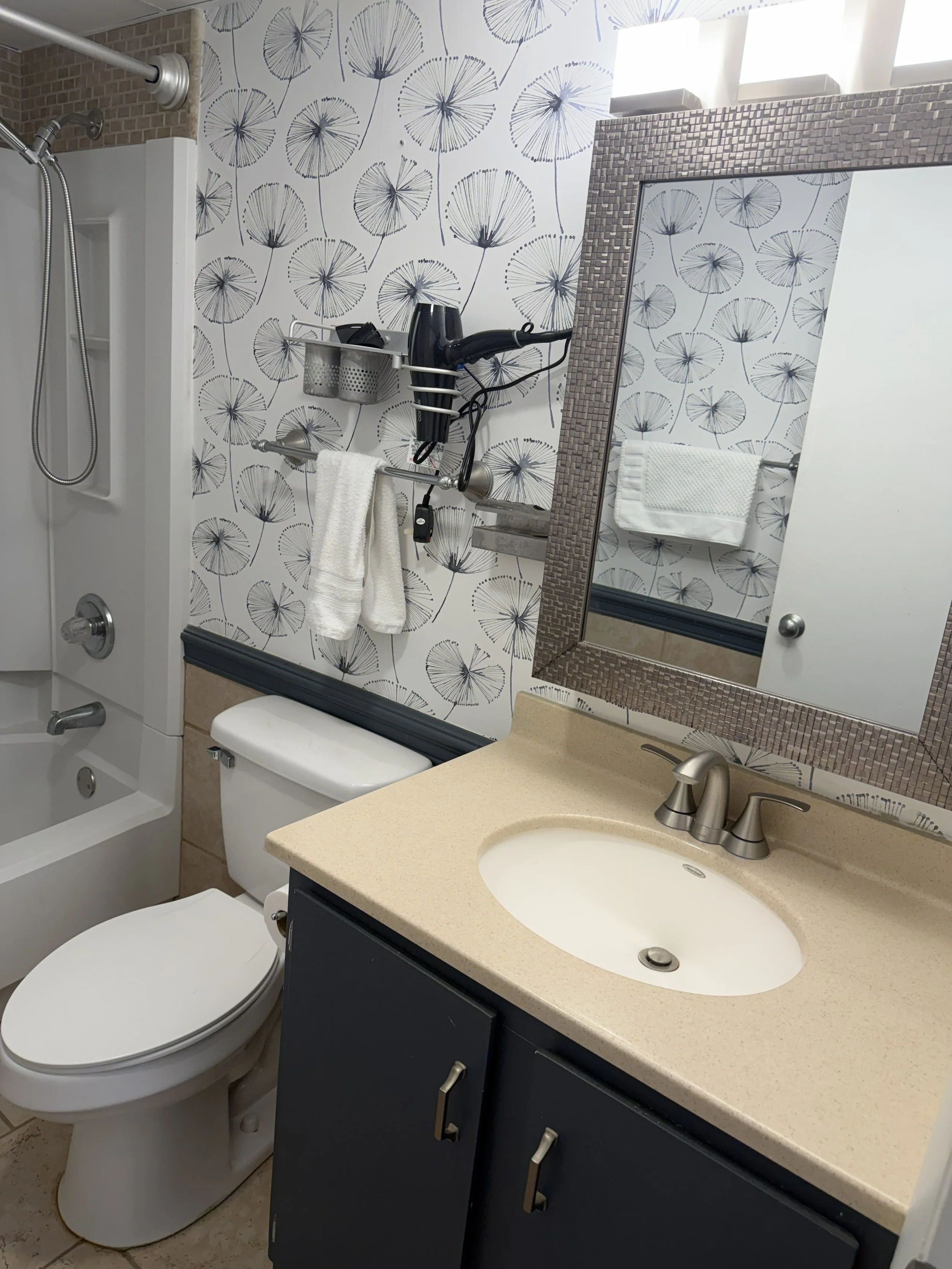 TT Main Bath Sink.jpg