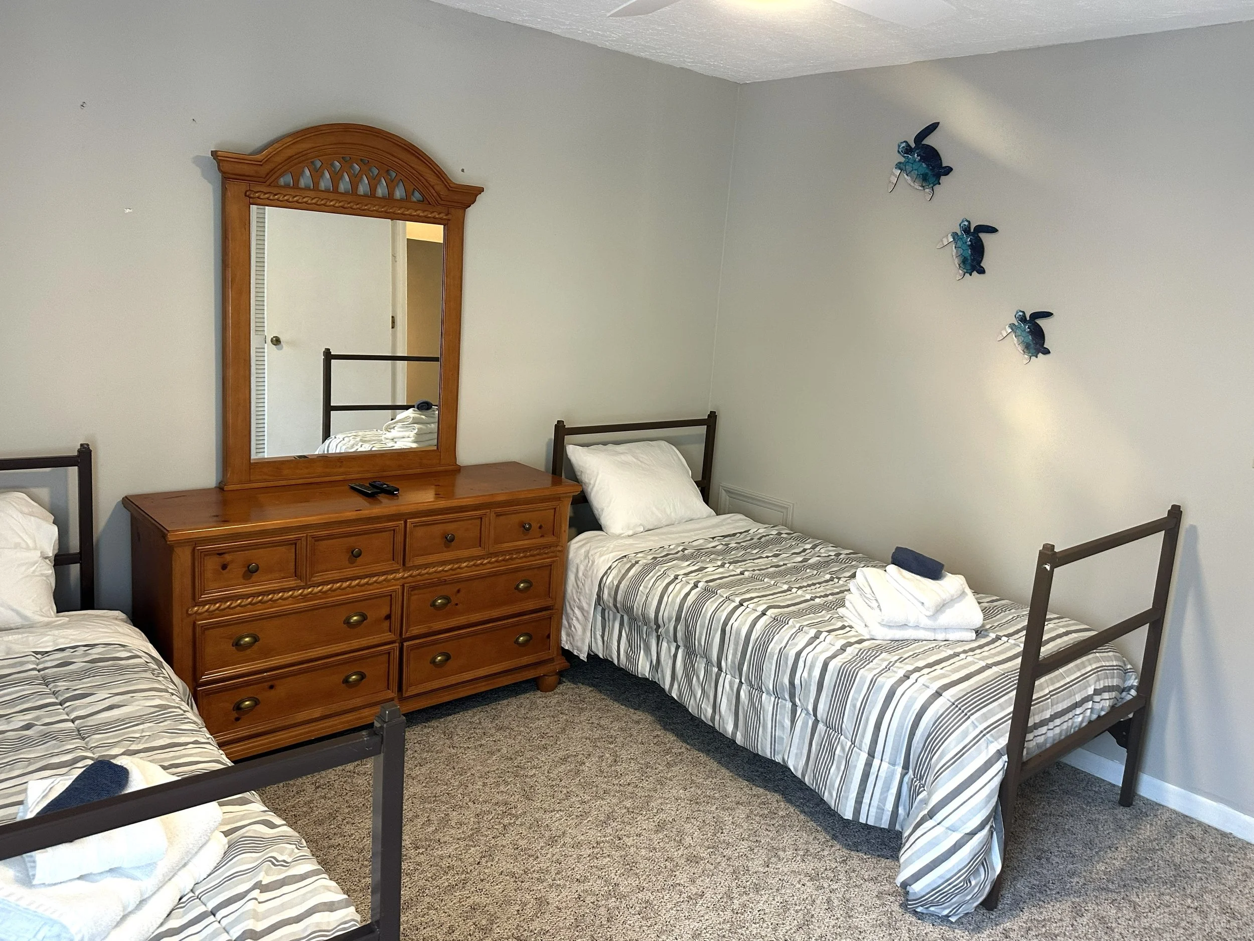 Twin from window.jpg