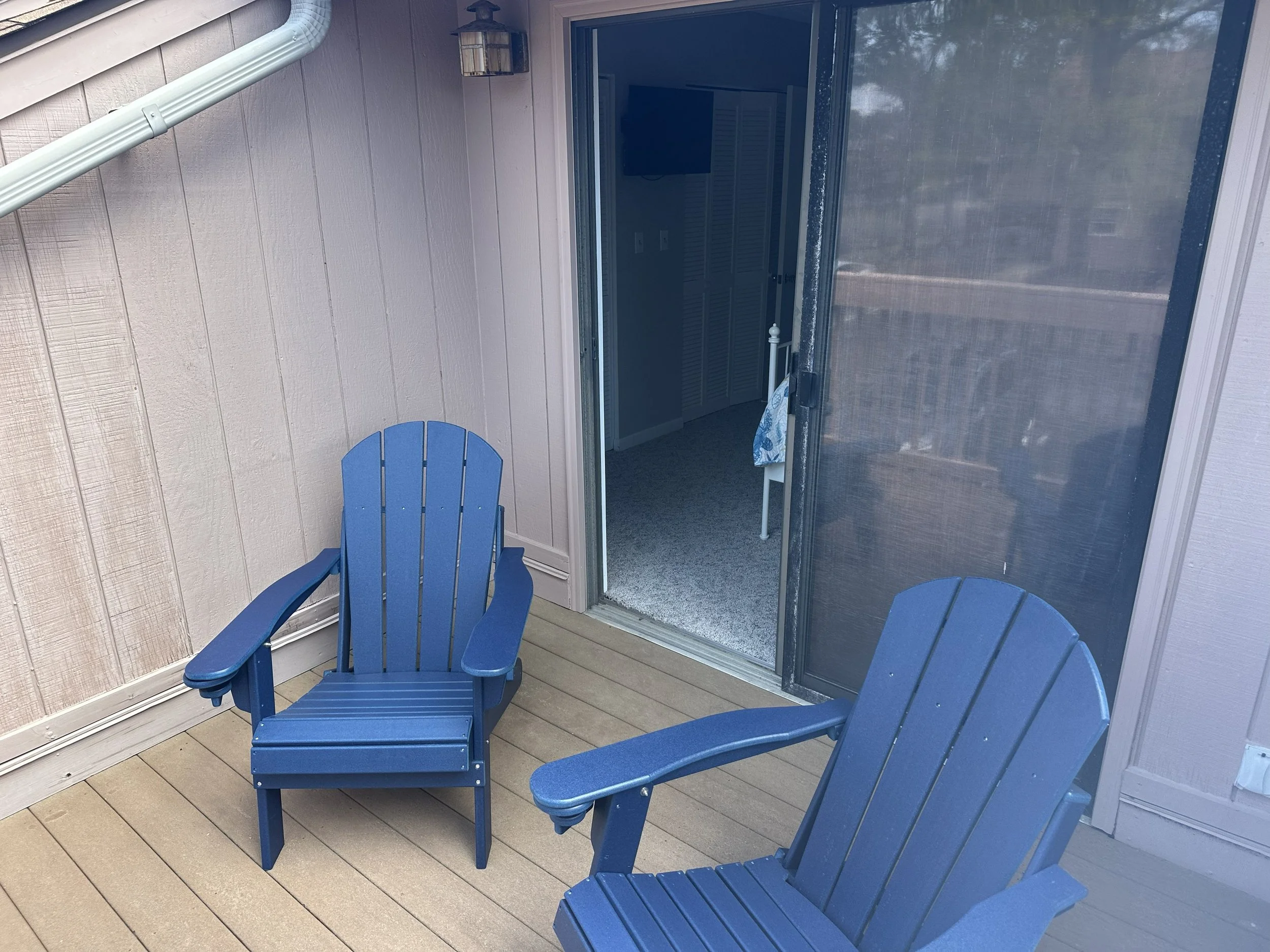 Blue turtle chairs update 1.jpg