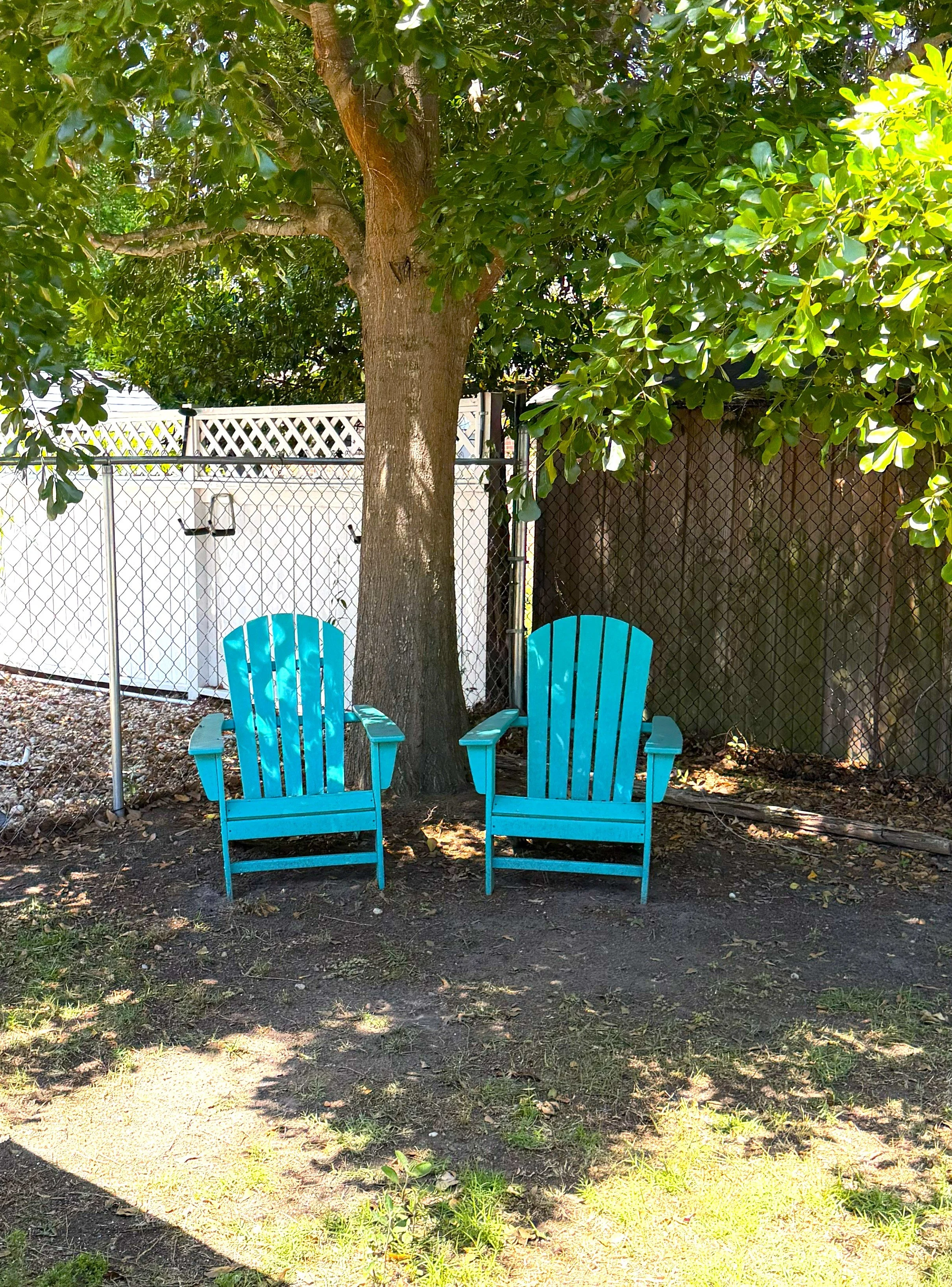 SD chairs and tree.jpg