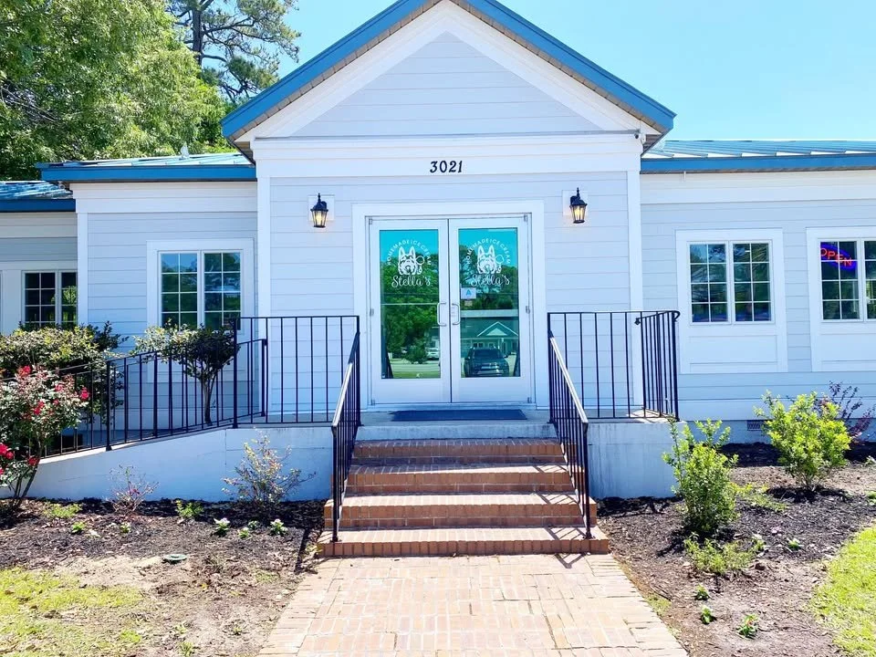 White building with blue roof and glass door, celebrating a business named Stella's Ice Cream in Murrells Inlet, SC, with outdoor plants and a brick pathway leading to the entrance near Myrtle Beach, SC