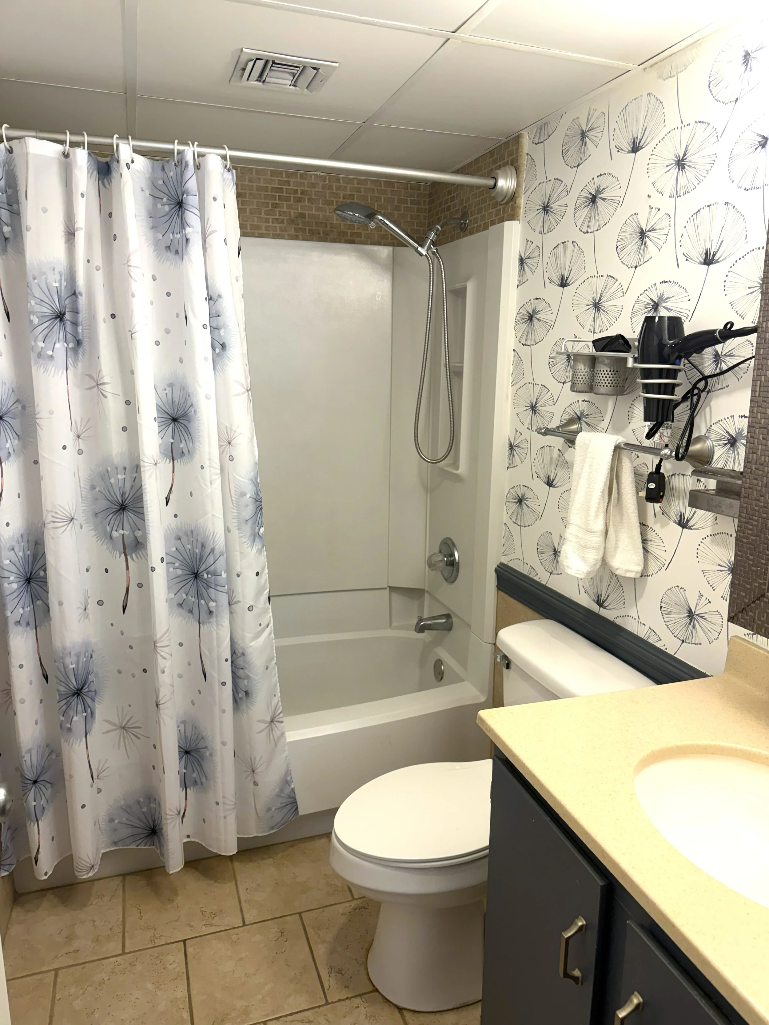 TT Main Bath.jpg