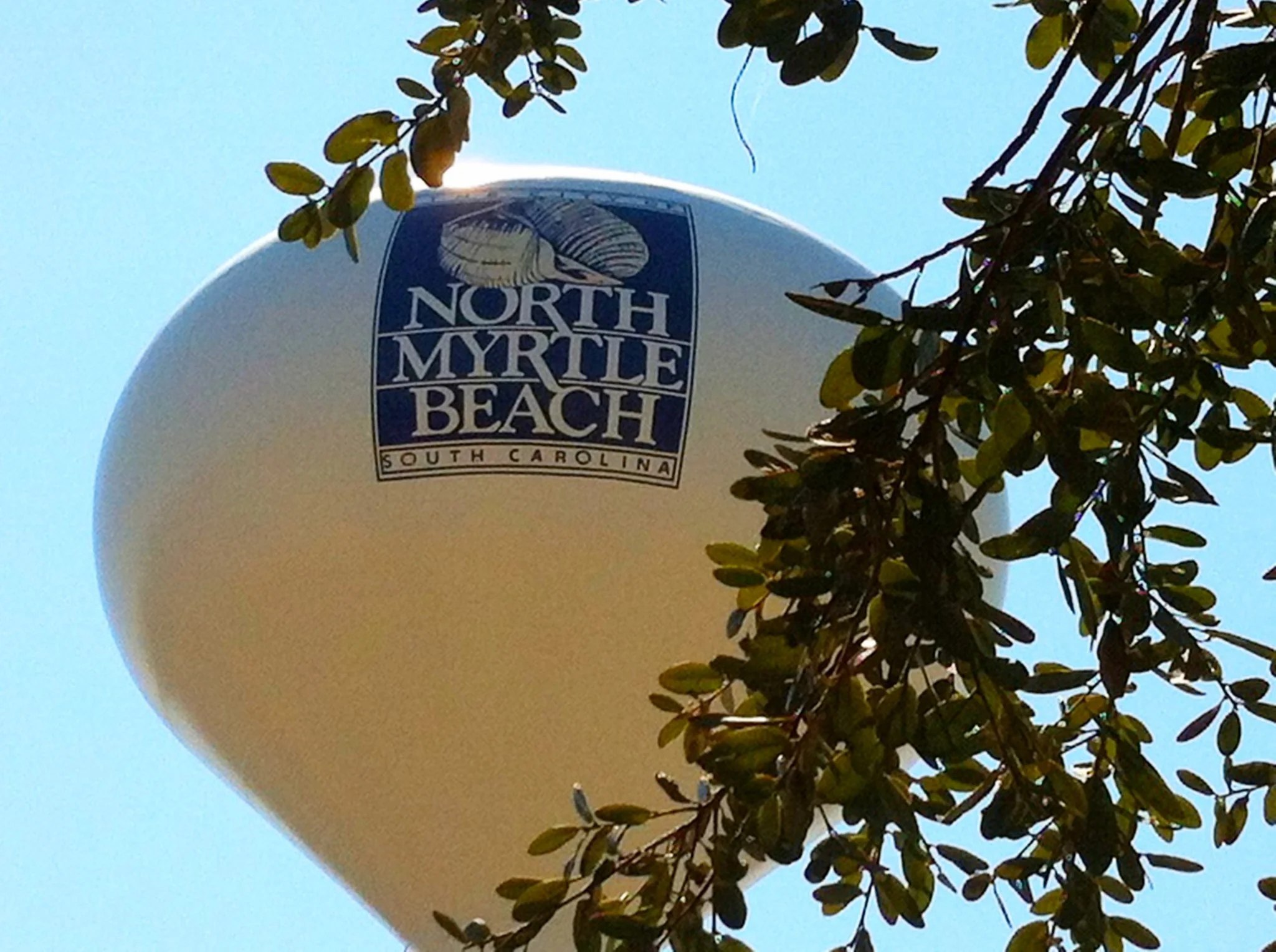 A water tower with the label 'North Myrtle Beach, South Carolina' is seen through the branches of a tree with small green leaves against a bright blue sky near Myrtle Beach, SC