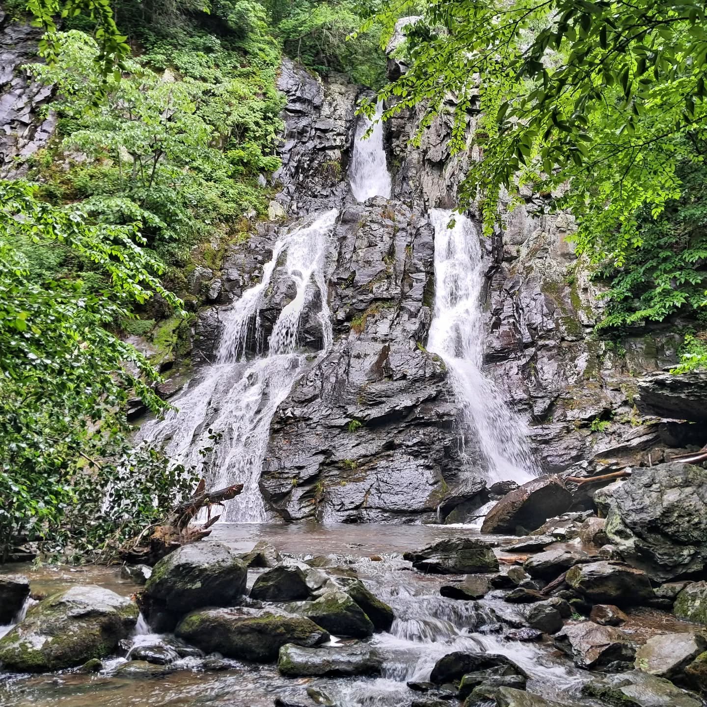 Waterfall hikes.
