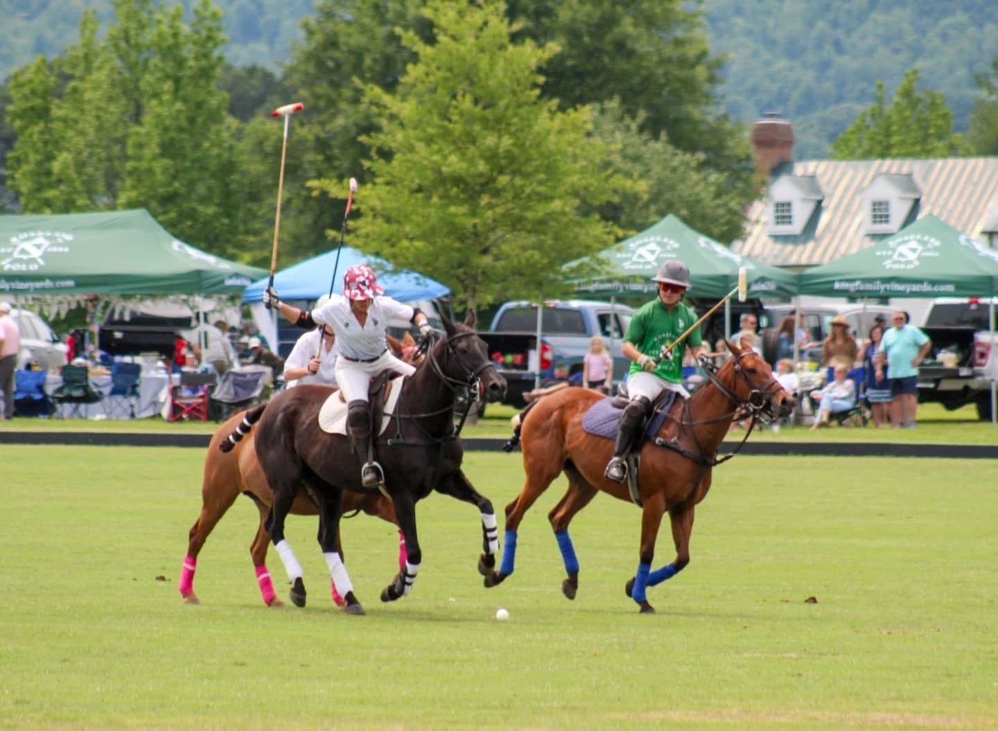 Polo.