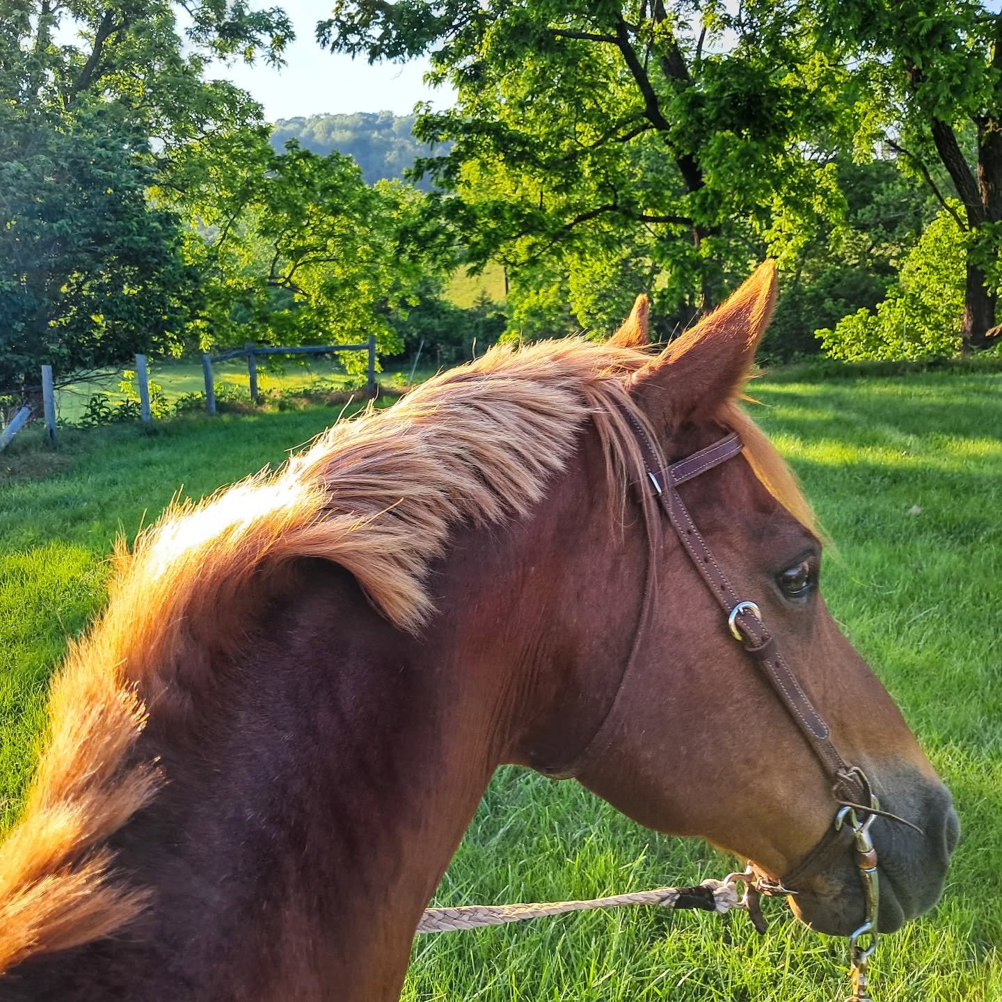 Back in the saddle.