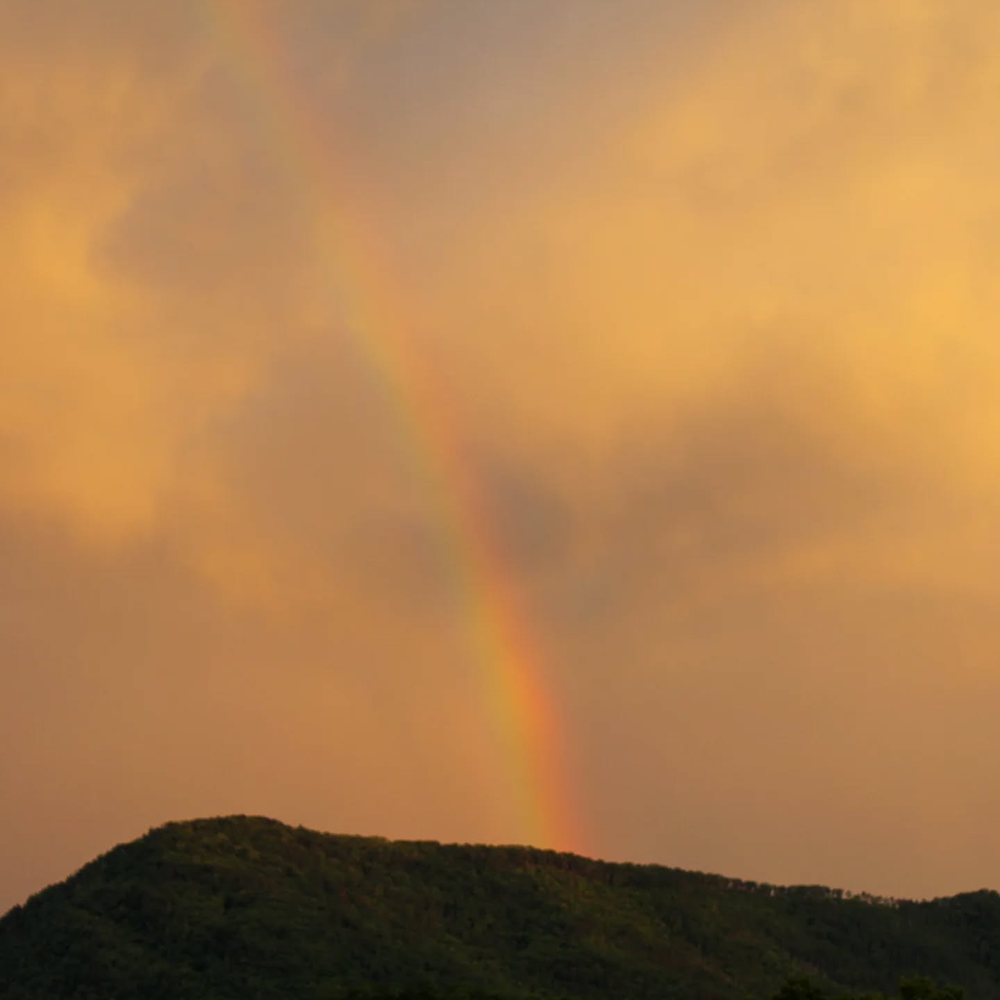 Rainbow views.