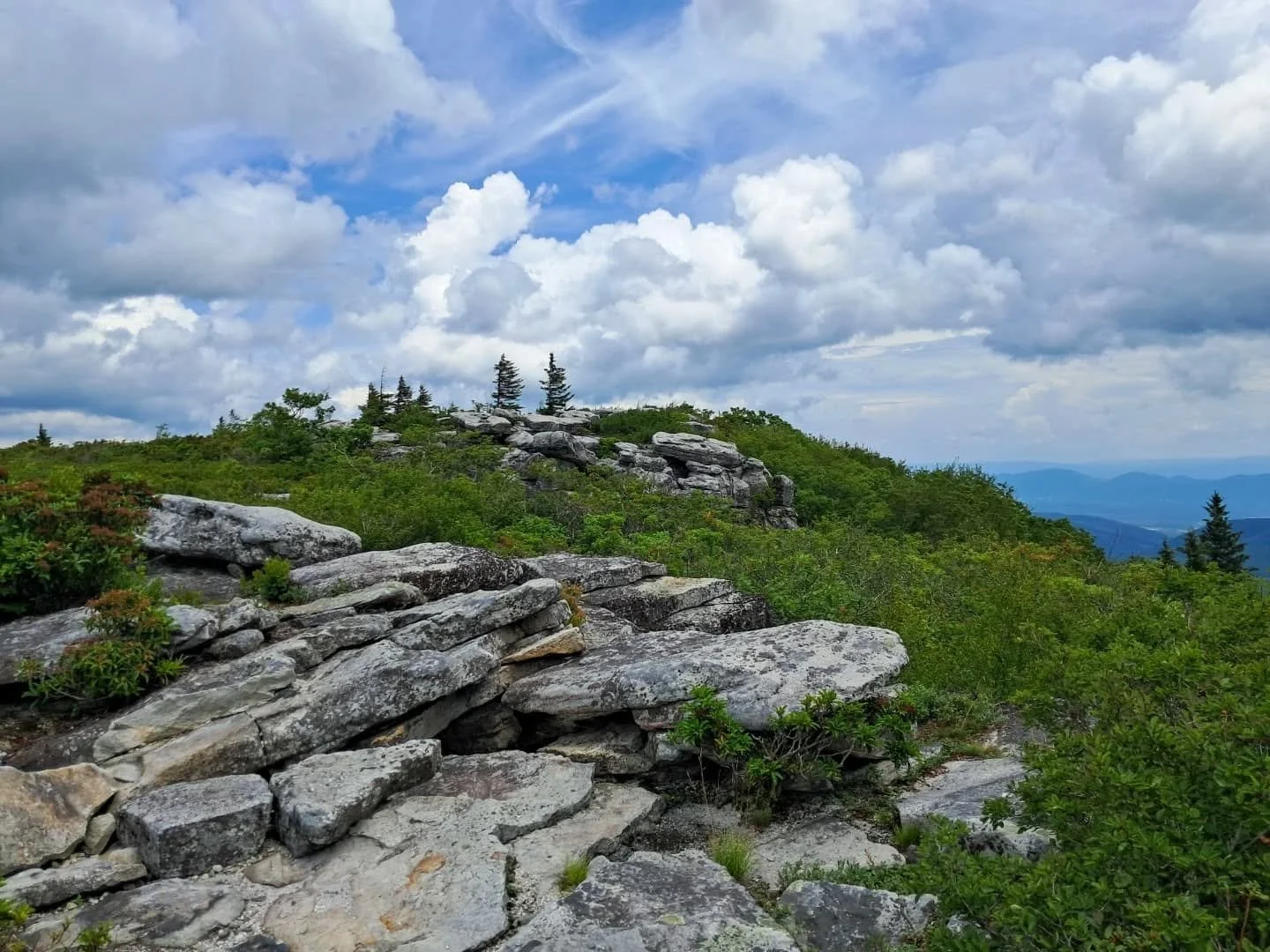 Hiking Dolly Sods Wilderness.