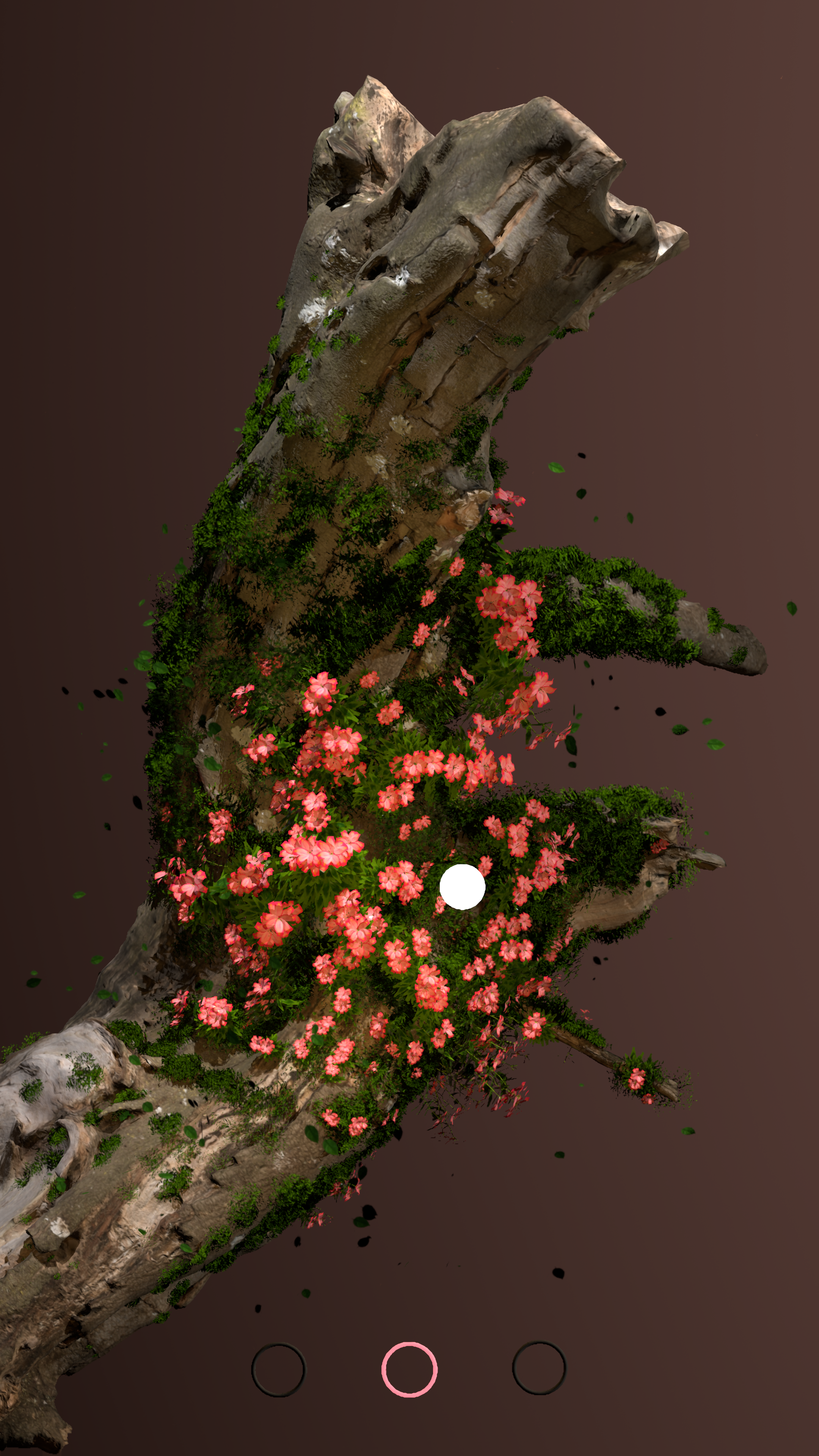 Mossy Branch 9.png