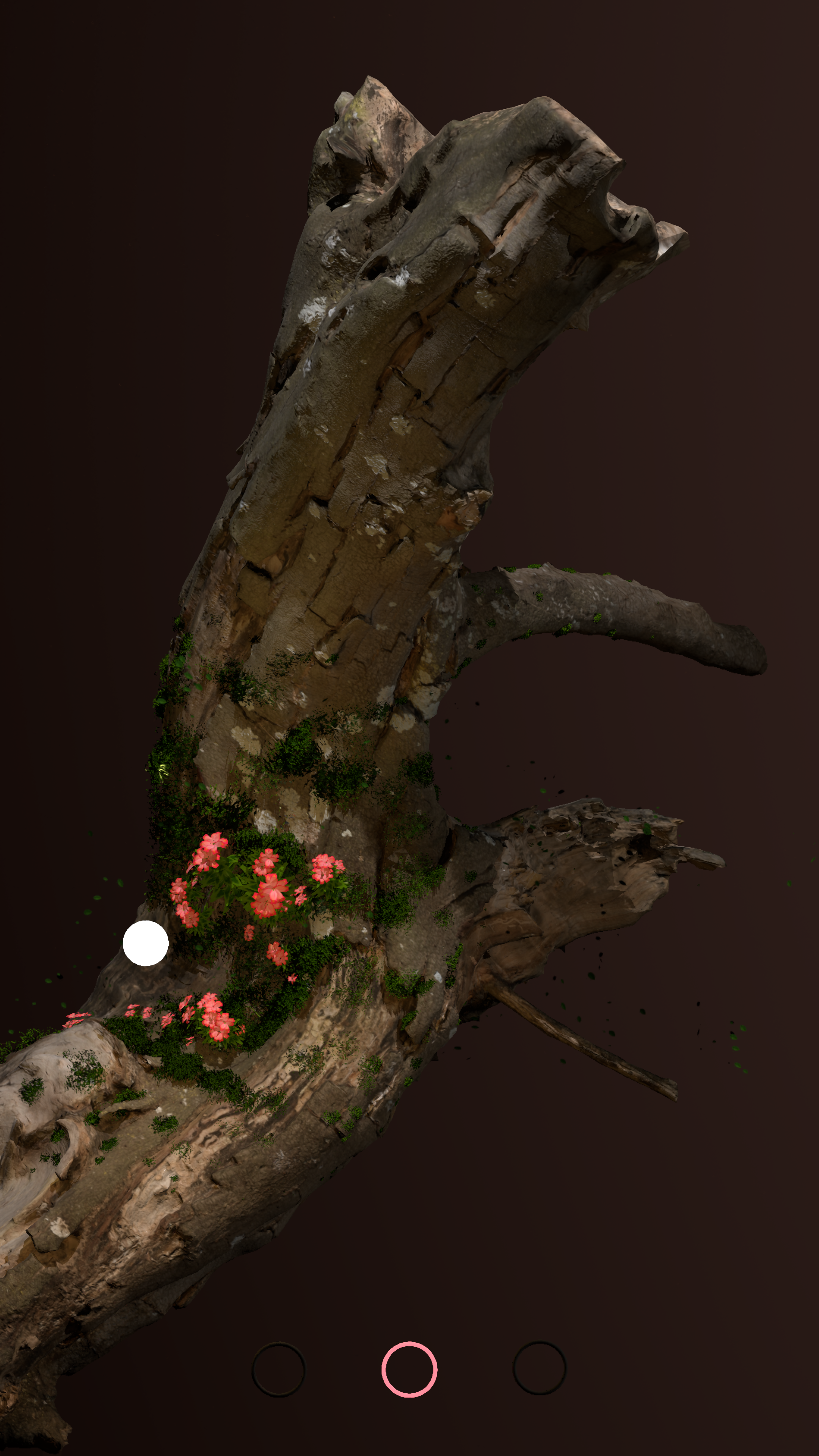 Mossy Branch 10.png