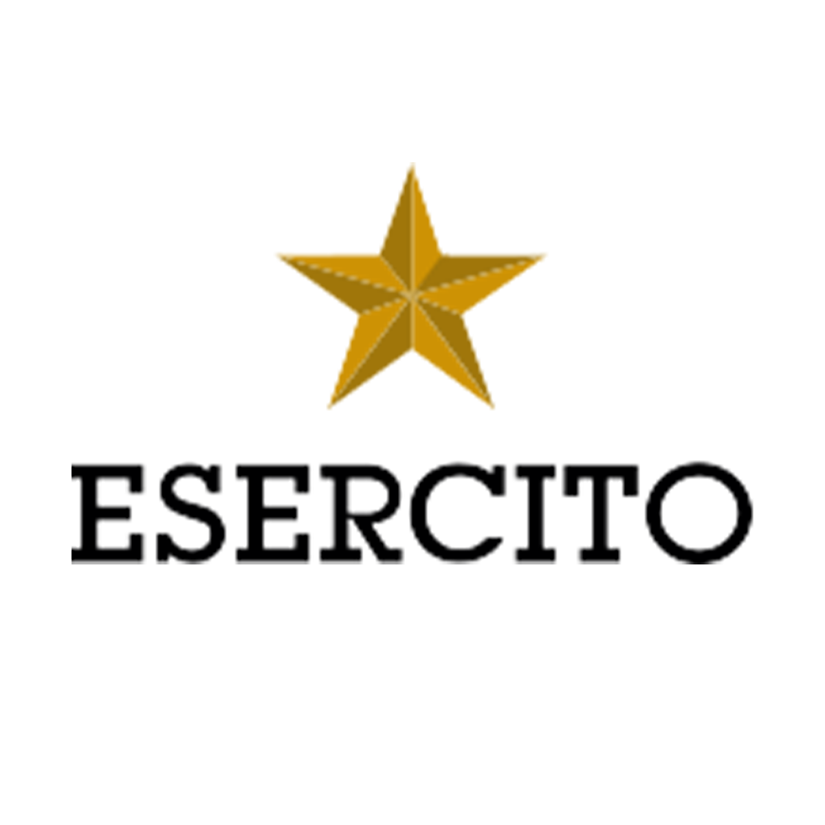 esercito.png