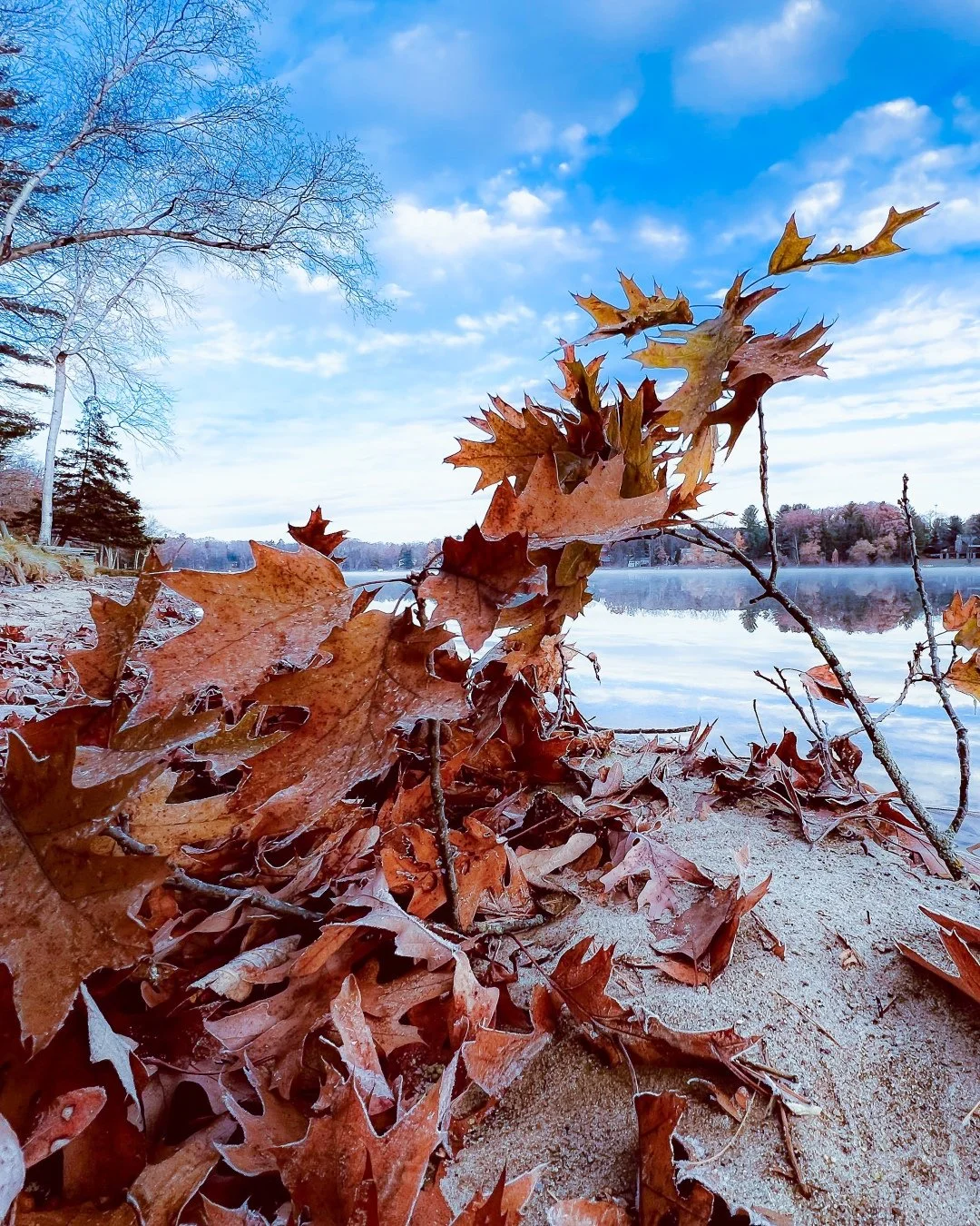 Included in the autumn landscapes collection!!!