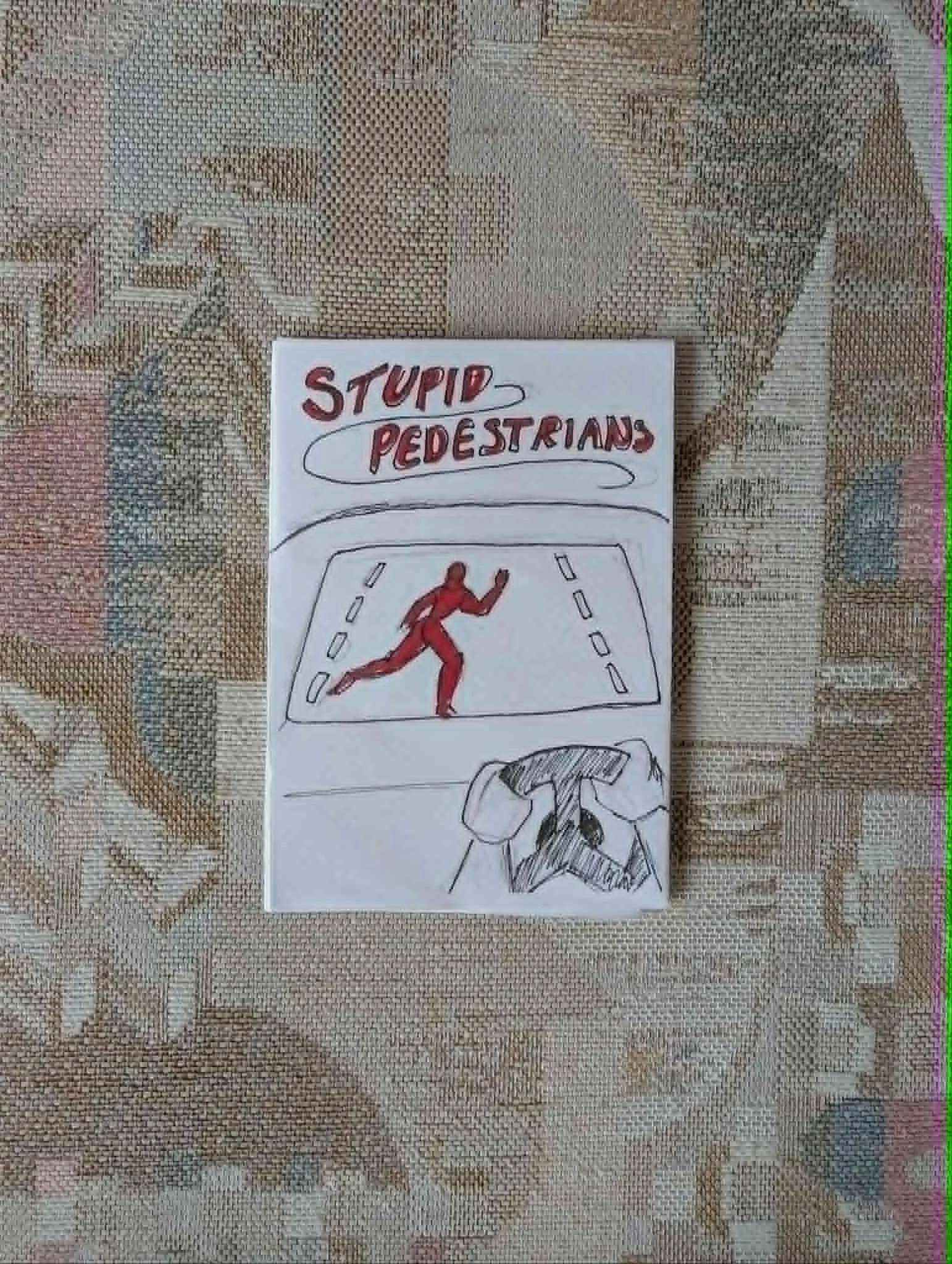 Stupid Pedestrians