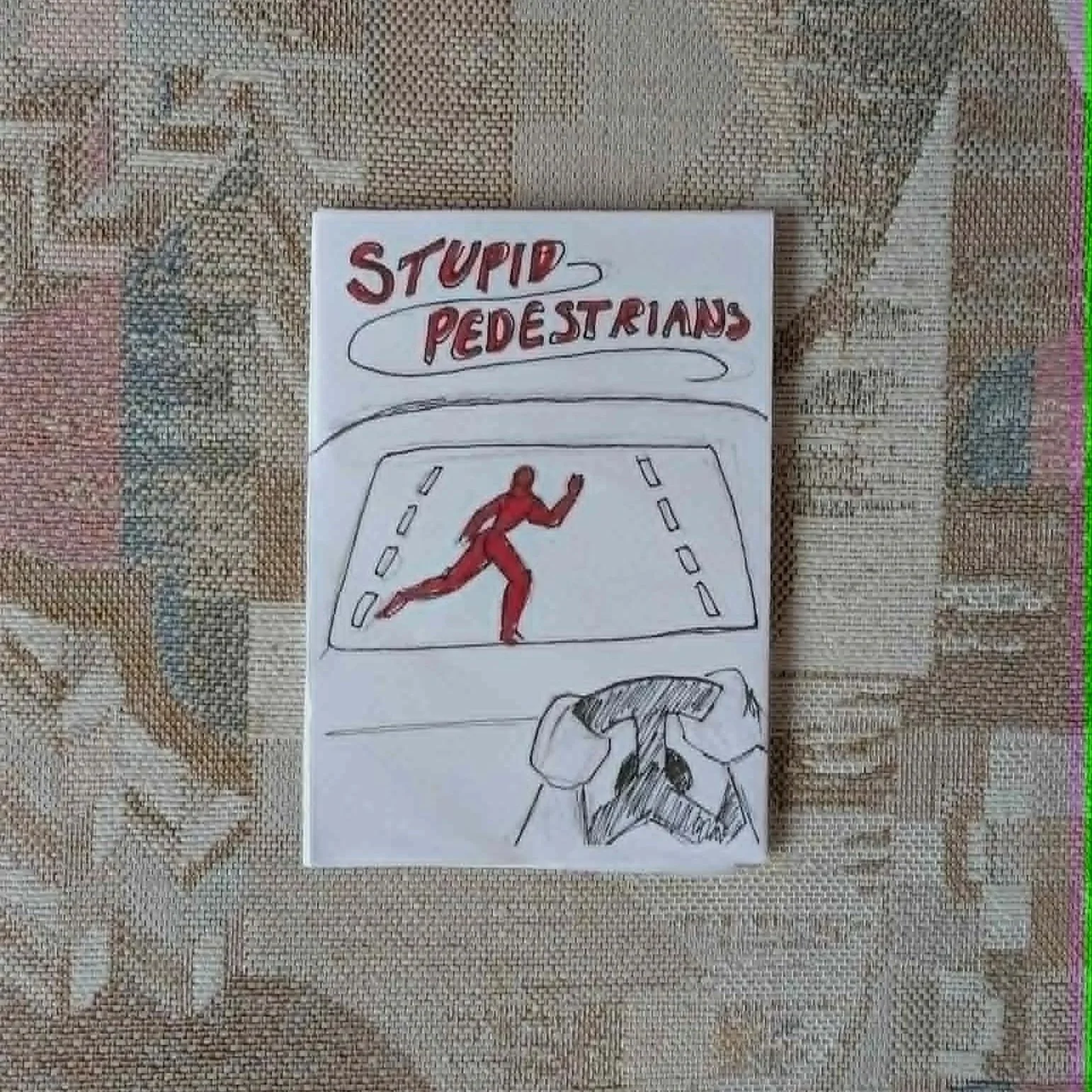 stupid+pedestrian.jpg