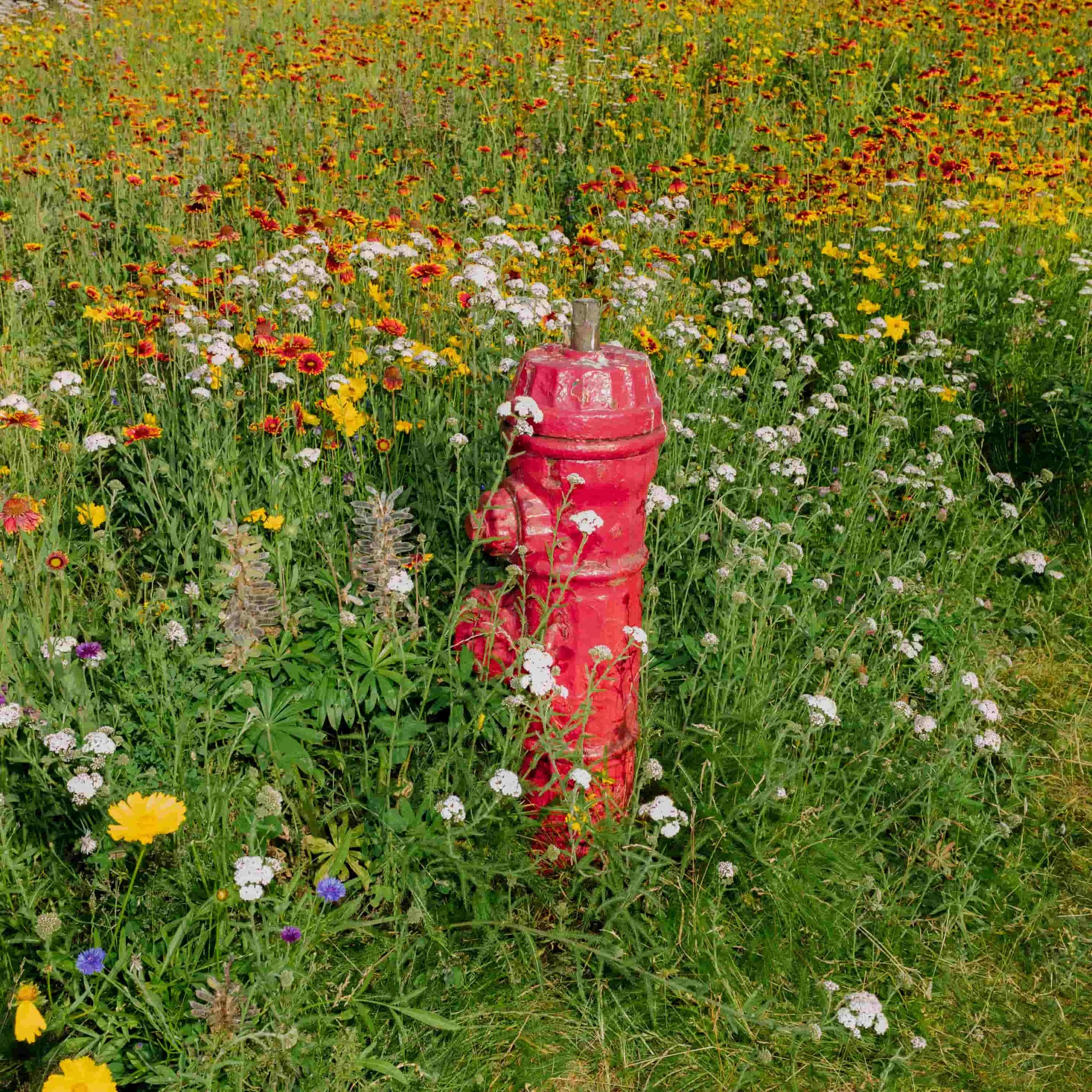 L1006786.jpg
