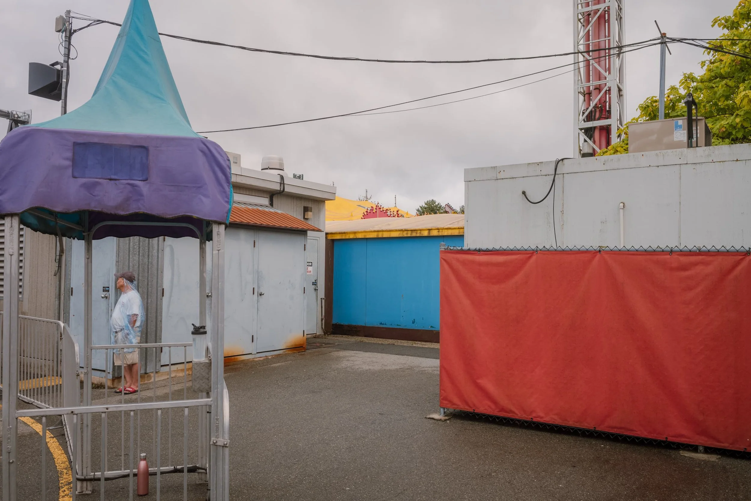 L1009903.jpg