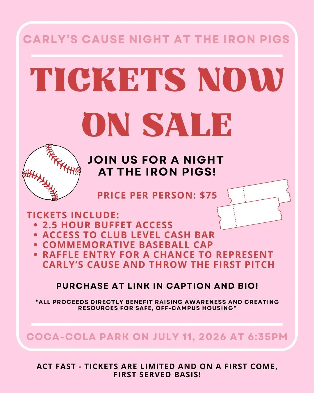 carly’s cause night at the iron pigs (1).jpg