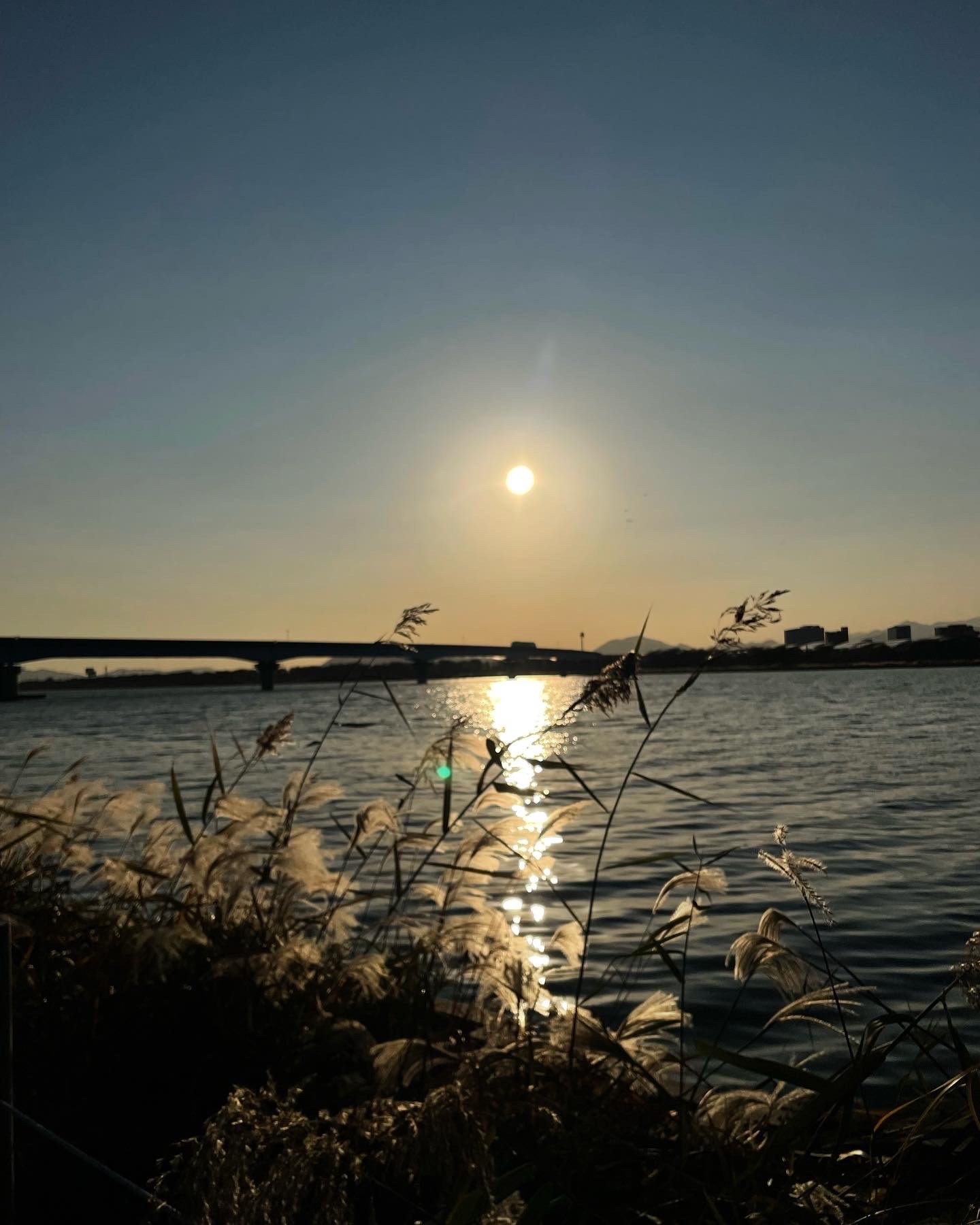 Busan River View.JPG