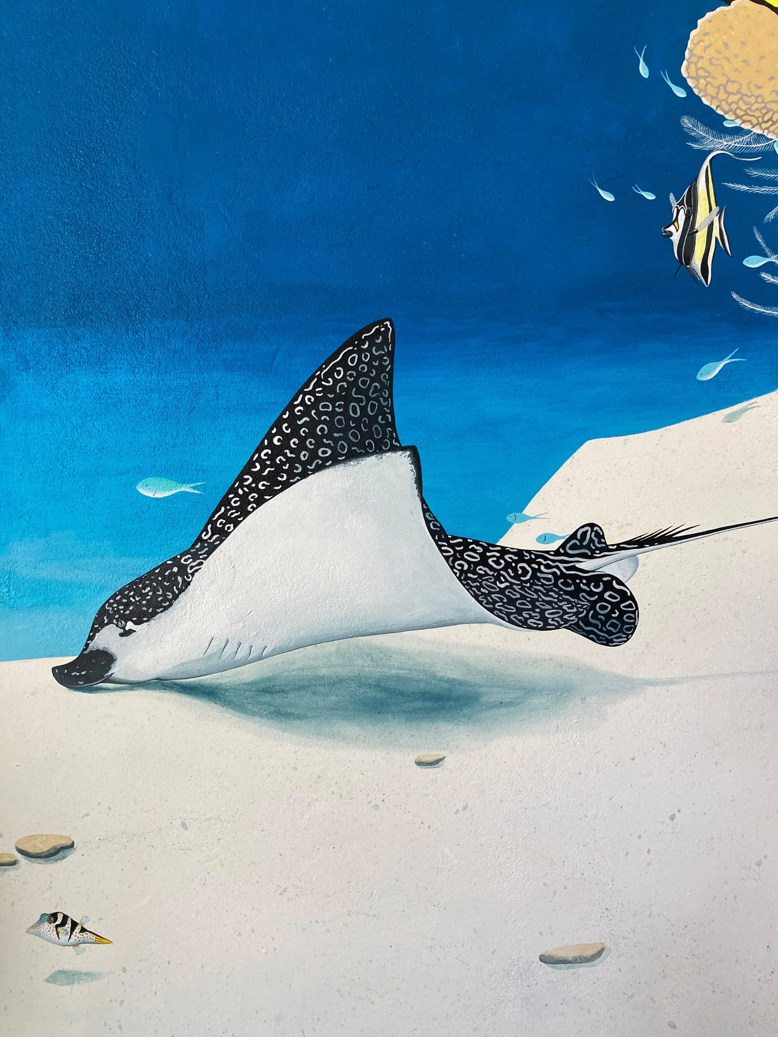 rog zoner touwtje .jpg