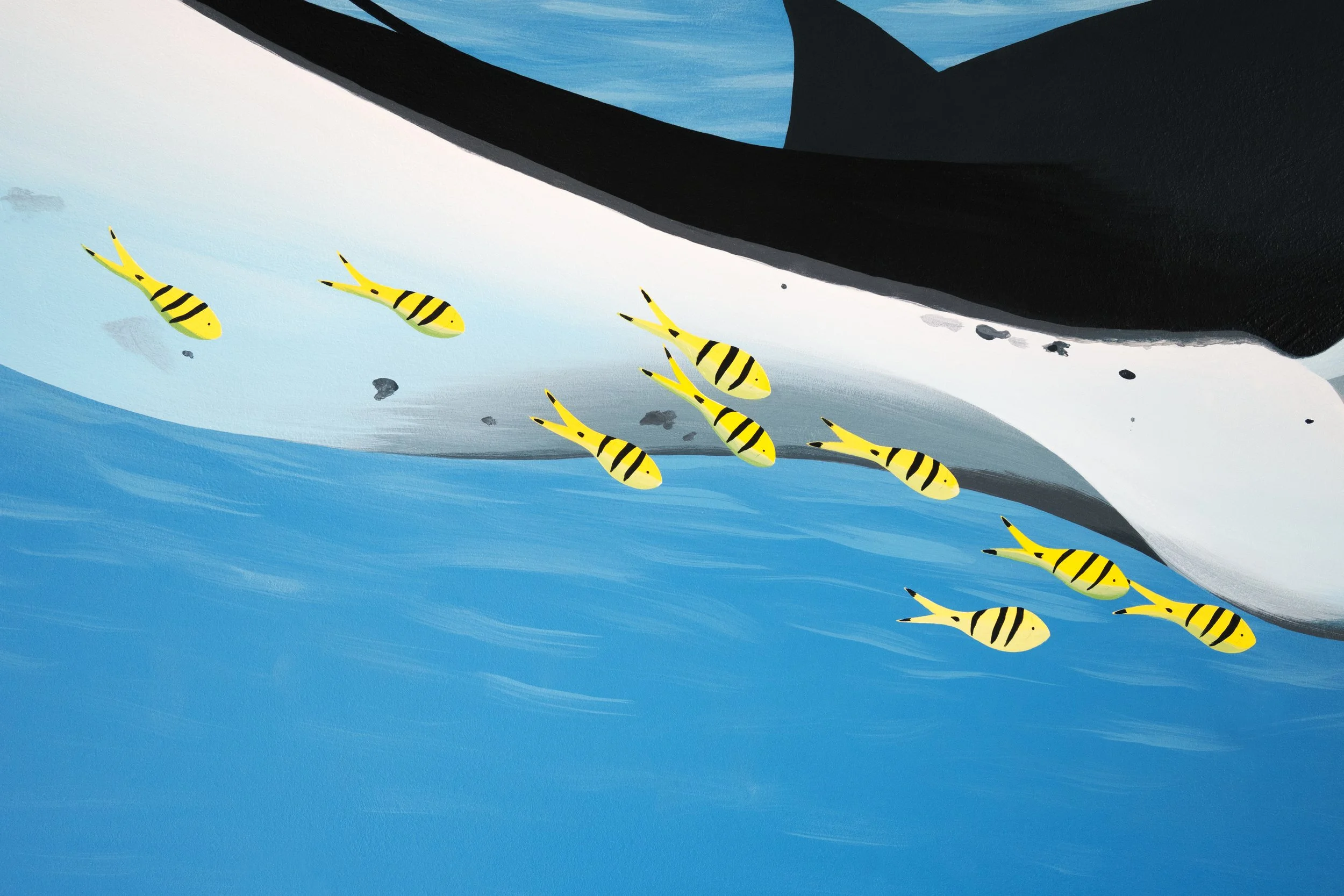 Mocean Dive Resort - A manta ray swims calmly accompanied by a small school of golden trevallies.
