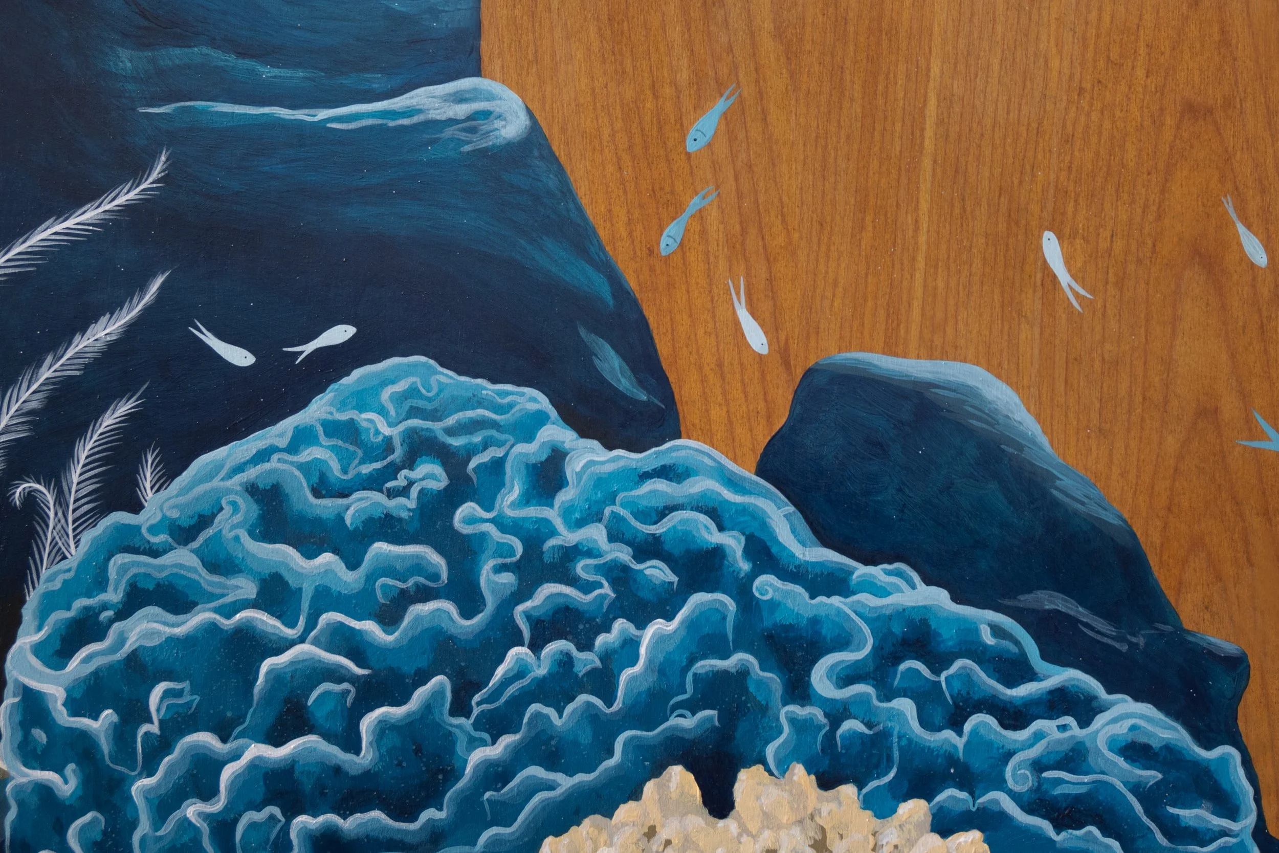 Kirana Retreat - A lively underwater scene featuring a variety of marine species. Painted on a wooden closet used to store watersport equipment at the resorts  watersport centre.