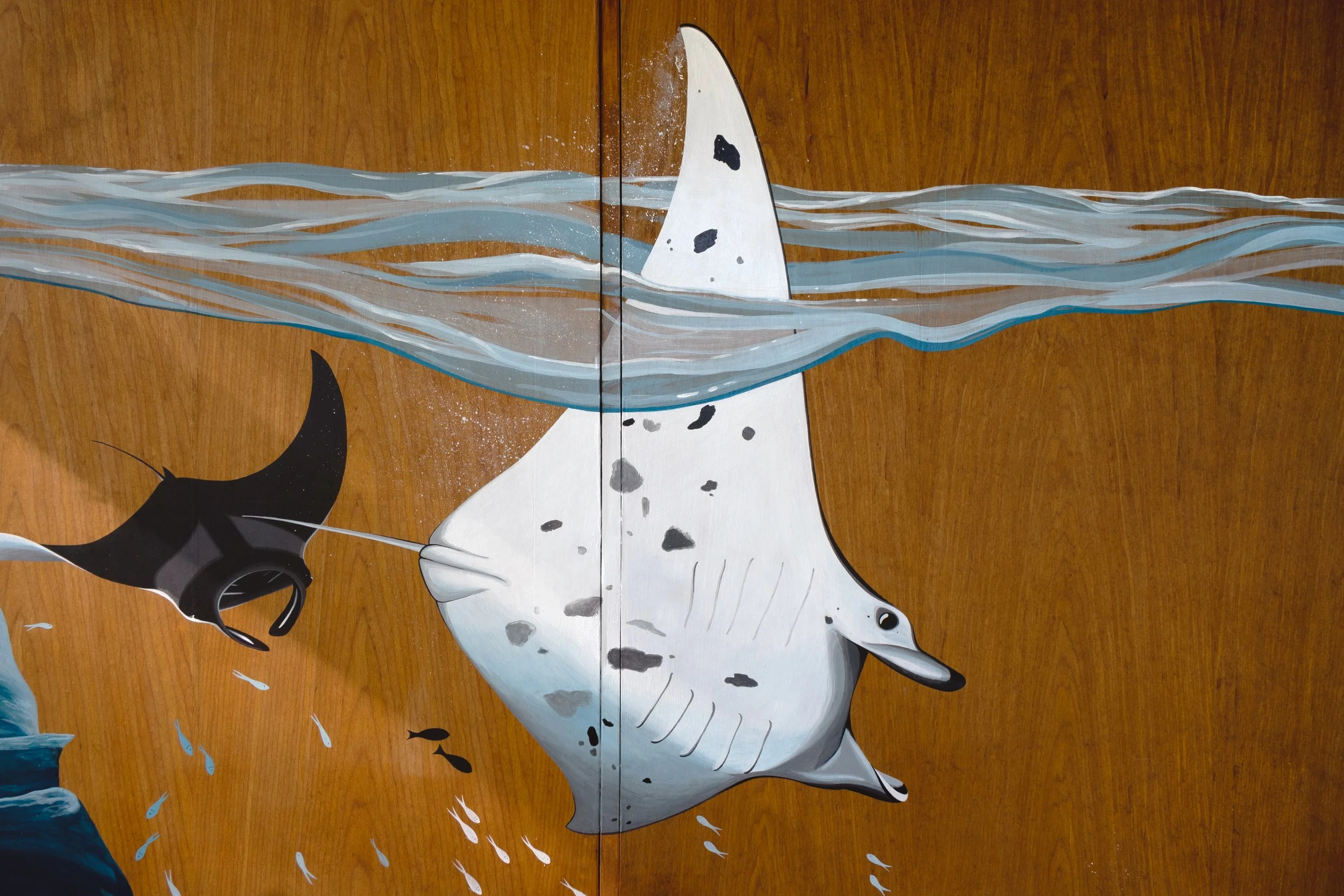 Kirana Retreat - A lively underwater scene featuring a variety of marine species. Painted on a wooden closet used to store watersport equipment at the resorts  watersport centre.