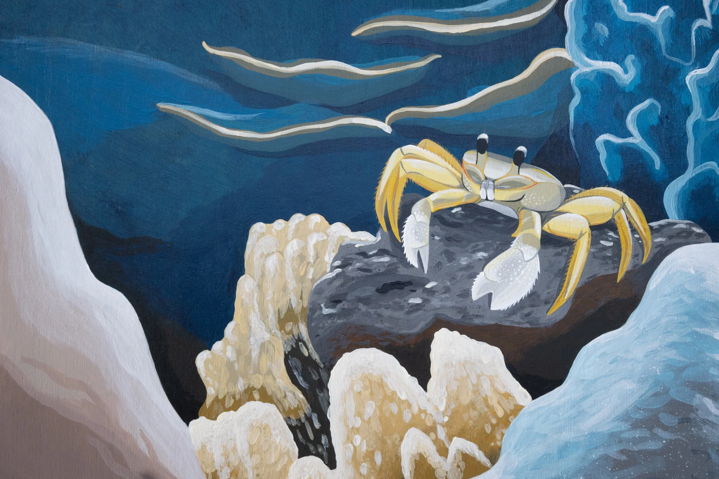 Kirana Retreat - A lively underwater scene featuring a variety of marine species. Painted on a wooden closet used to store watersport equipment at the resorts  watersport centre.