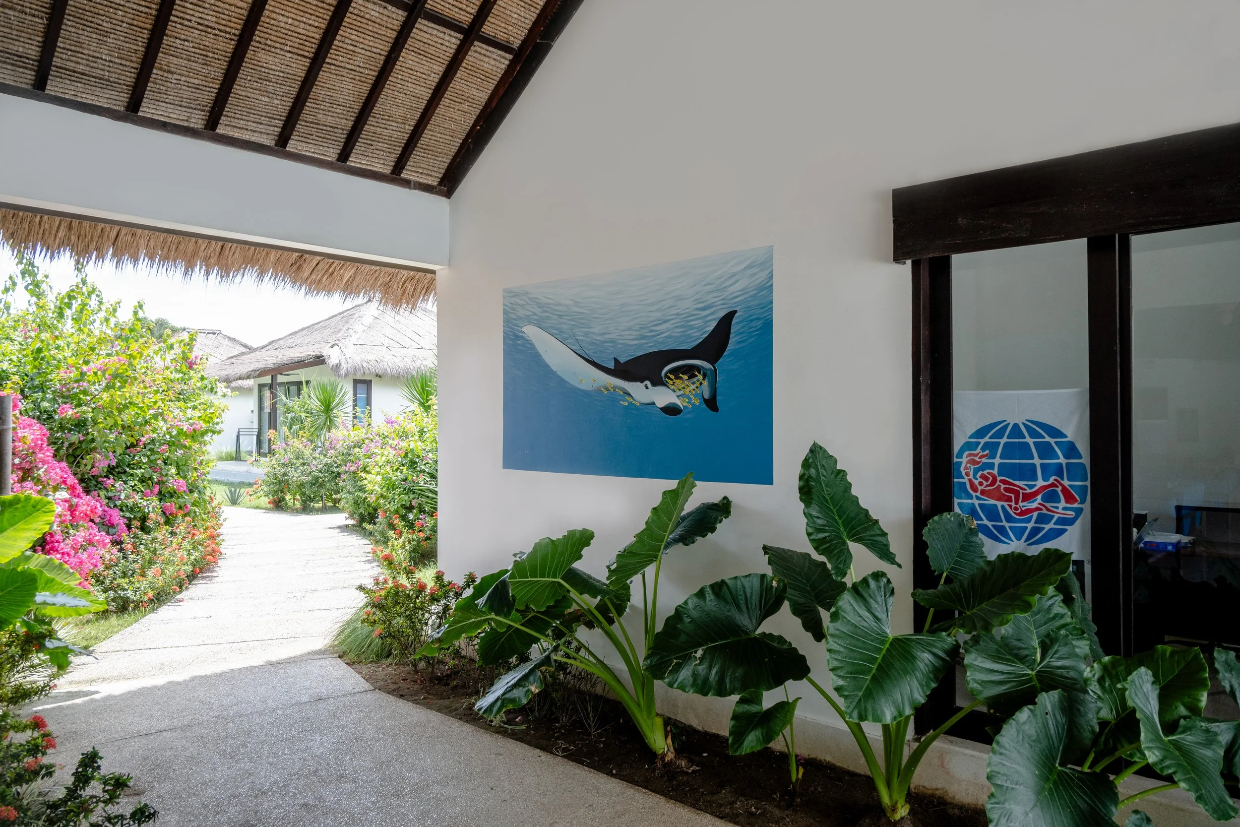 Mocean Dive Resort - A manta ray swims calmly accompanied by a small school of golden trevallies.