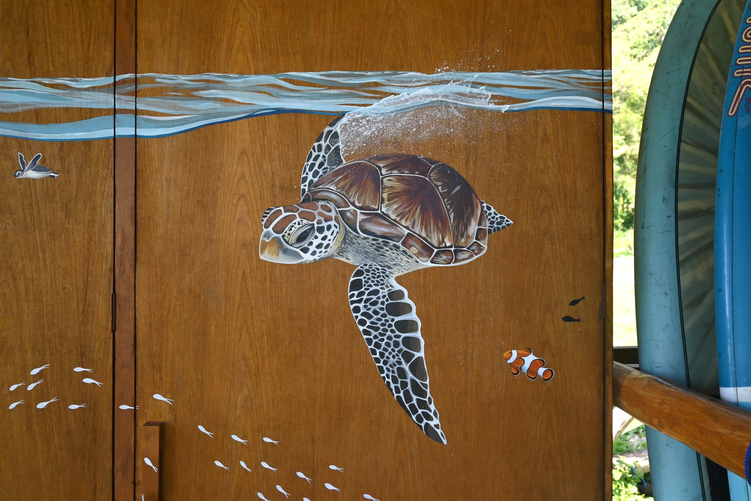Kirana Retreat - A lively underwater scene featuring a variety of marine species. Painted on a wooden closet used to store watersport equipment at the resorts  watersport centre.