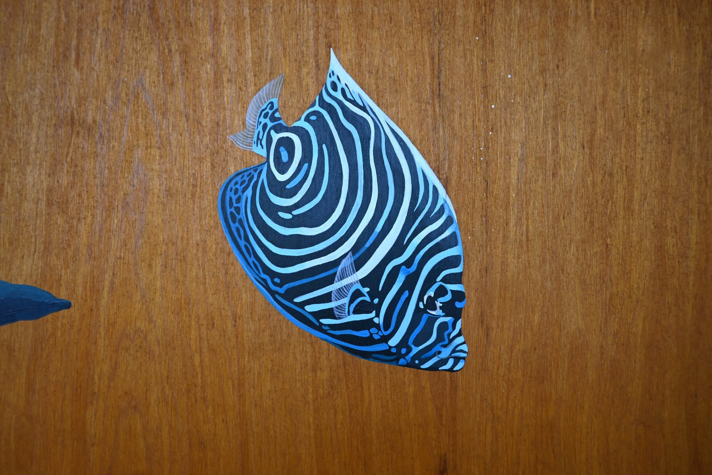 Kirana Retreat - A lively underwater scene featuring a variety of marine species. Painted on a wooden closet used to store watersport equipment at the resorts  watersport centre.