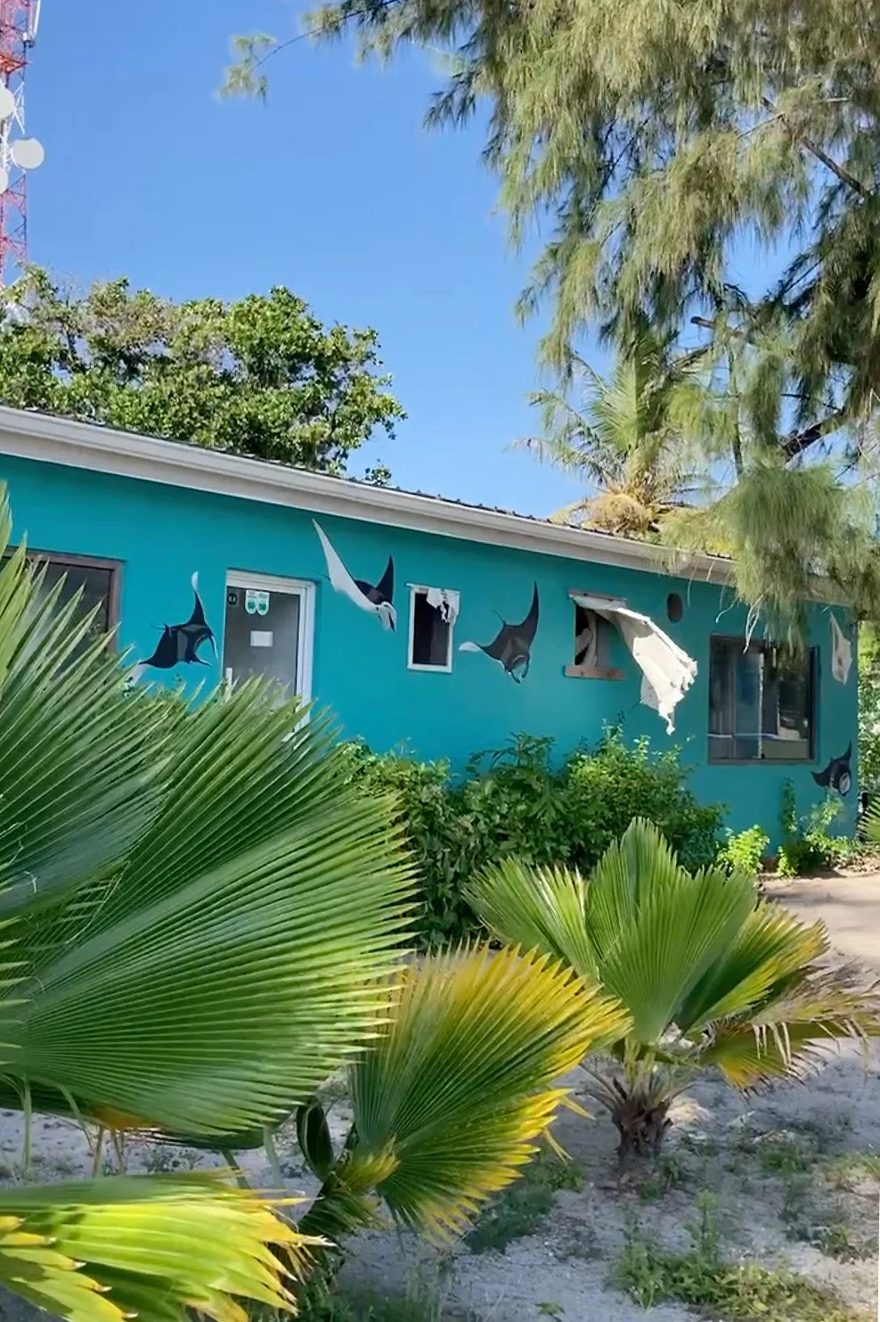 manta train outside .jpg