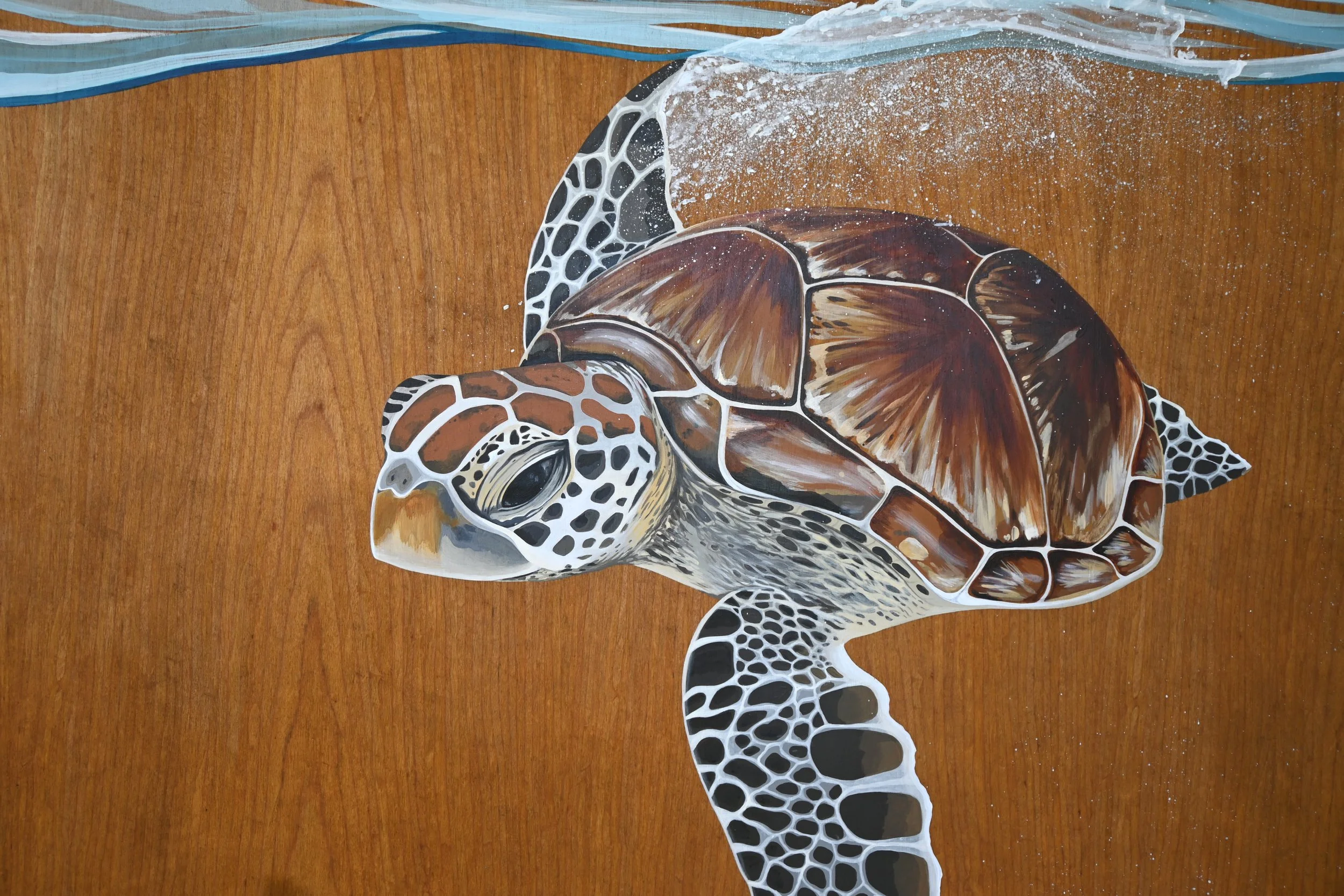 Kirana Retreat - A lively underwater scene featuring a variety of marine species. Painted on a wooden closet used to store watersport equipment at the resorts  watersport centre.