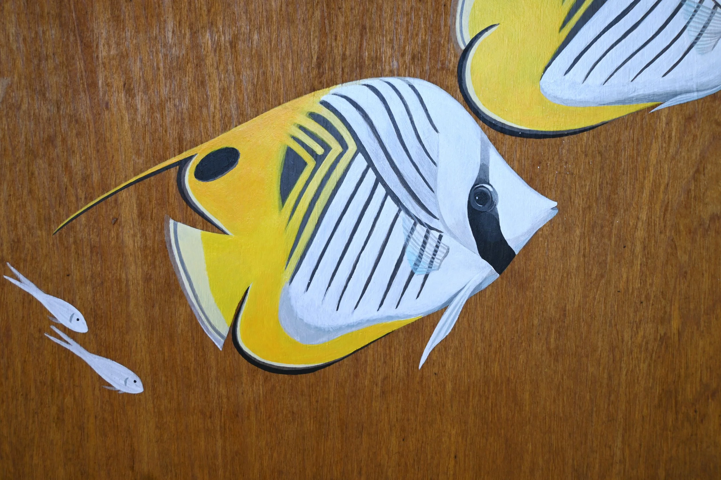 Kirana Retreat - A lively underwater scene featuring a variety of marine species. Painted on a wooden closet used to store watersport equipment at the resorts  watersport centre.