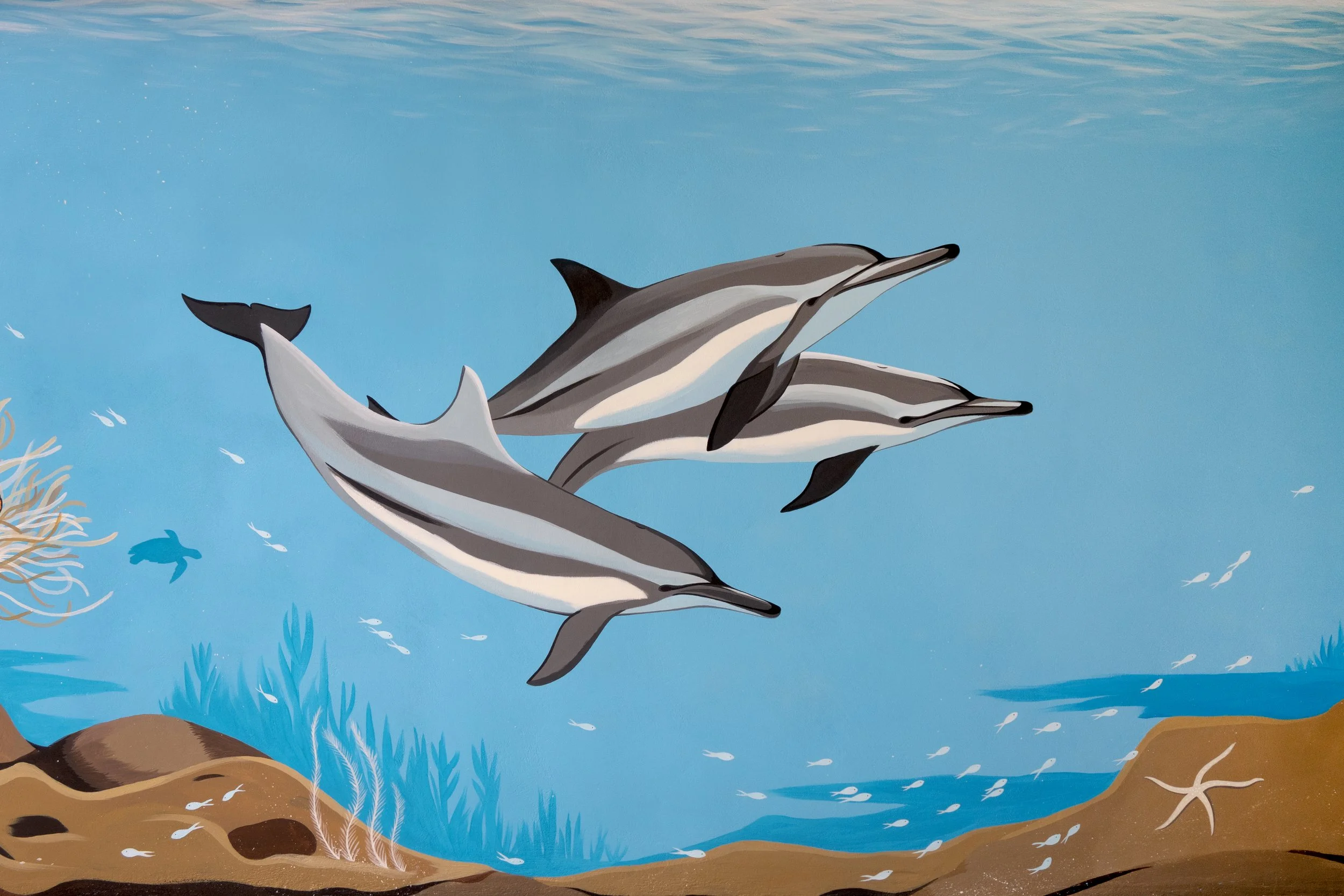 Puri Yalus Homestay - Spinner dolphins pass by the reef of a crystal clear bay. Painted on the reception wall in Crystal Bay area. 