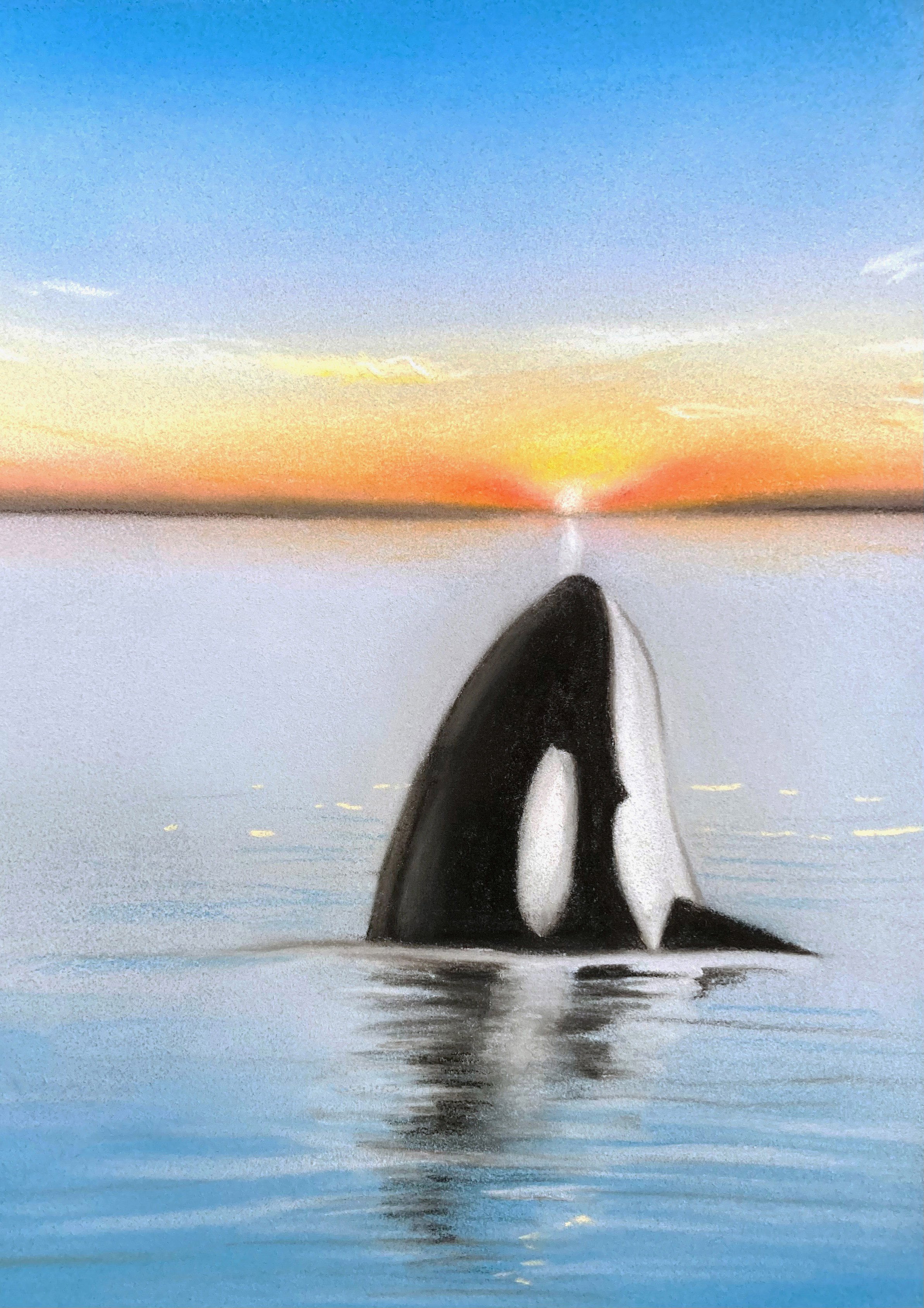 Orca.jpg
