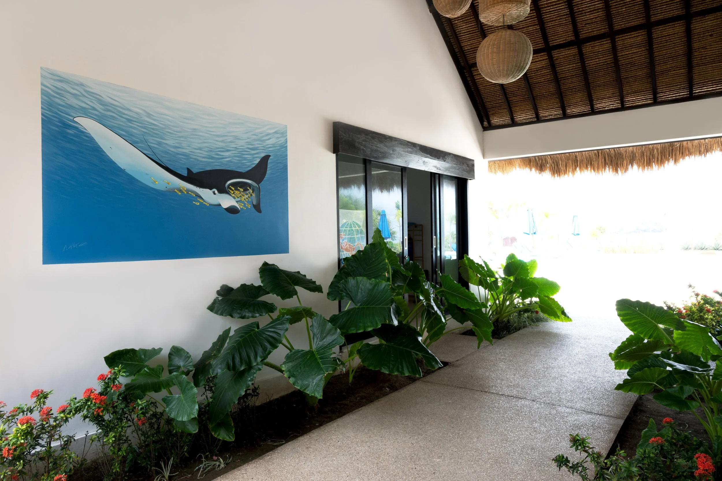 Mocean Dive Resort - A manta ray swims calmly accompanied by a small school of golden trevallies.