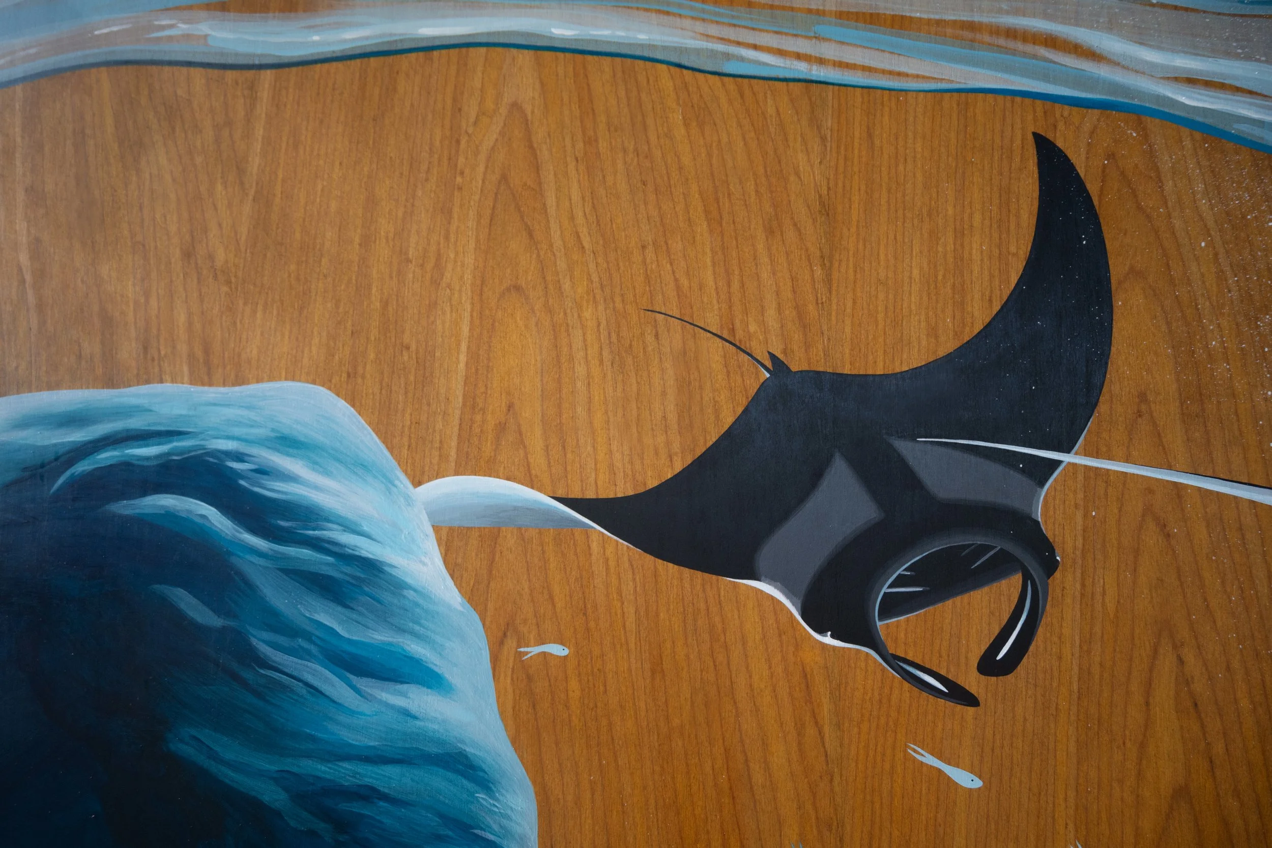 Kirana Retreat - A lively underwater scene featuring a variety of marine species. Painted on a wooden closet used to store watersport equipment at the resorts  watersport centre.