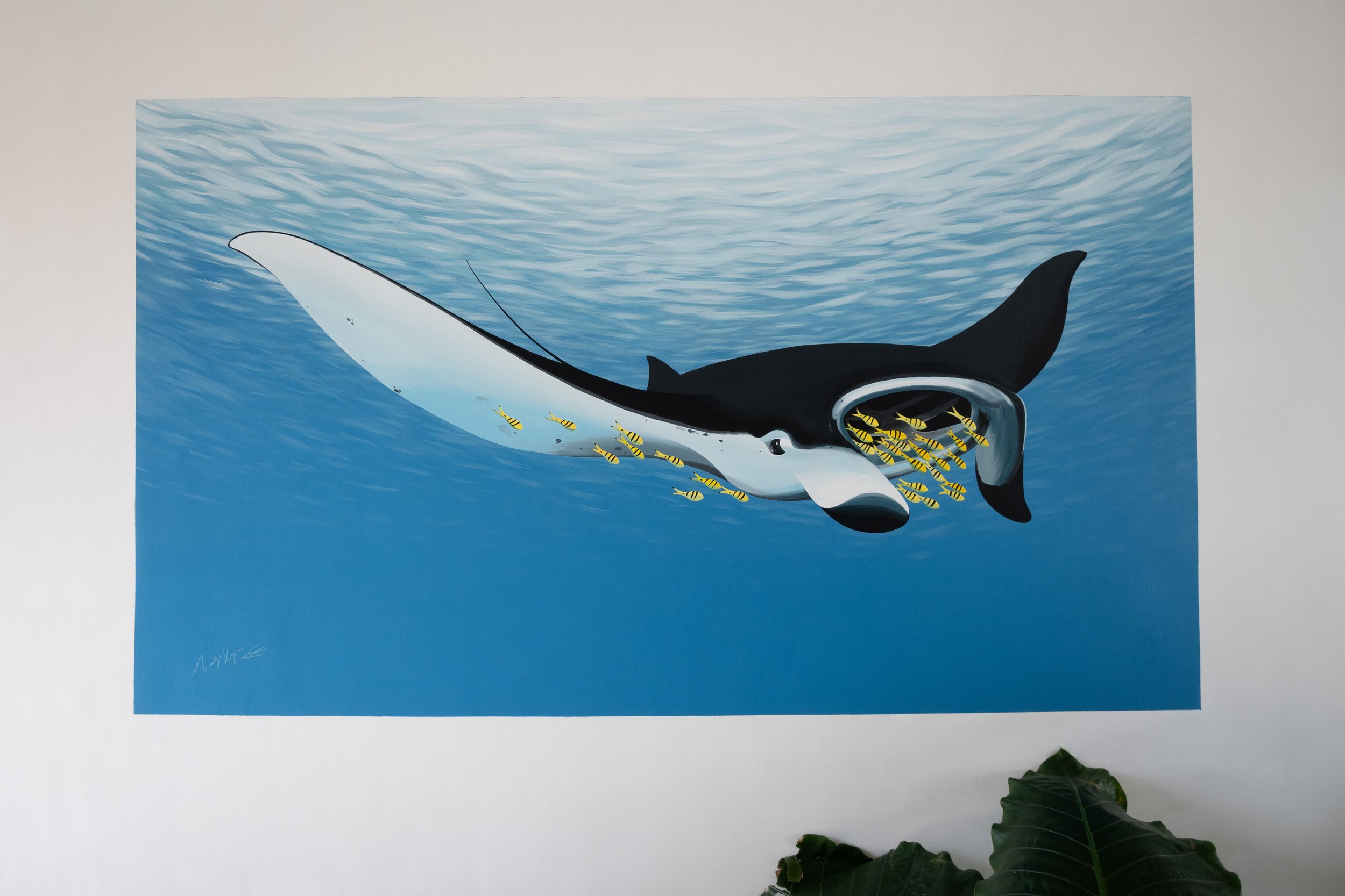 Mocean Dive Resort - A manta ray swims calmly accompanied by a small school of golden trevallies.