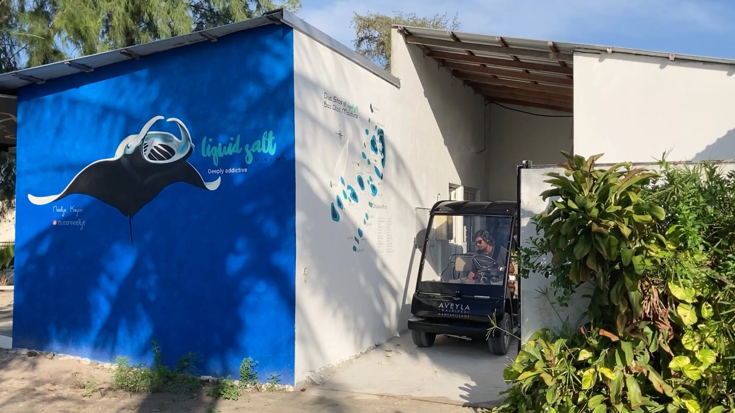 aiman foto lsd deze.jpg