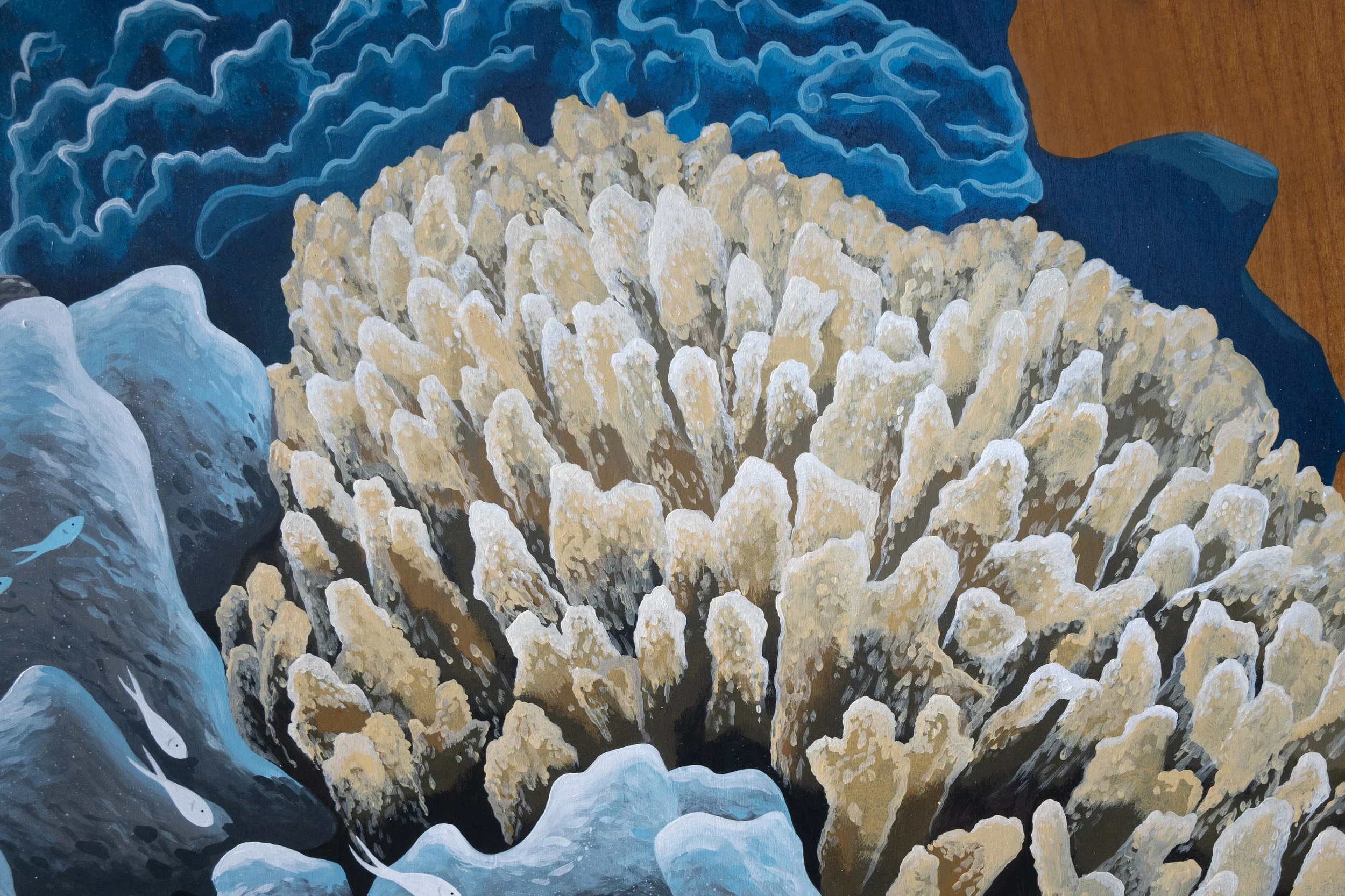 Kirana Retreat - A lively underwater scene featuring a variety of marine species. Painted on a wooden closet used to store watersport equipment at the resorts  watersport centre.