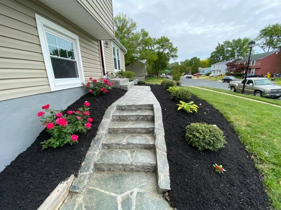 Stone entry steps and a walkway bordered by fresh mulch, roses, hostas and shrubs.
