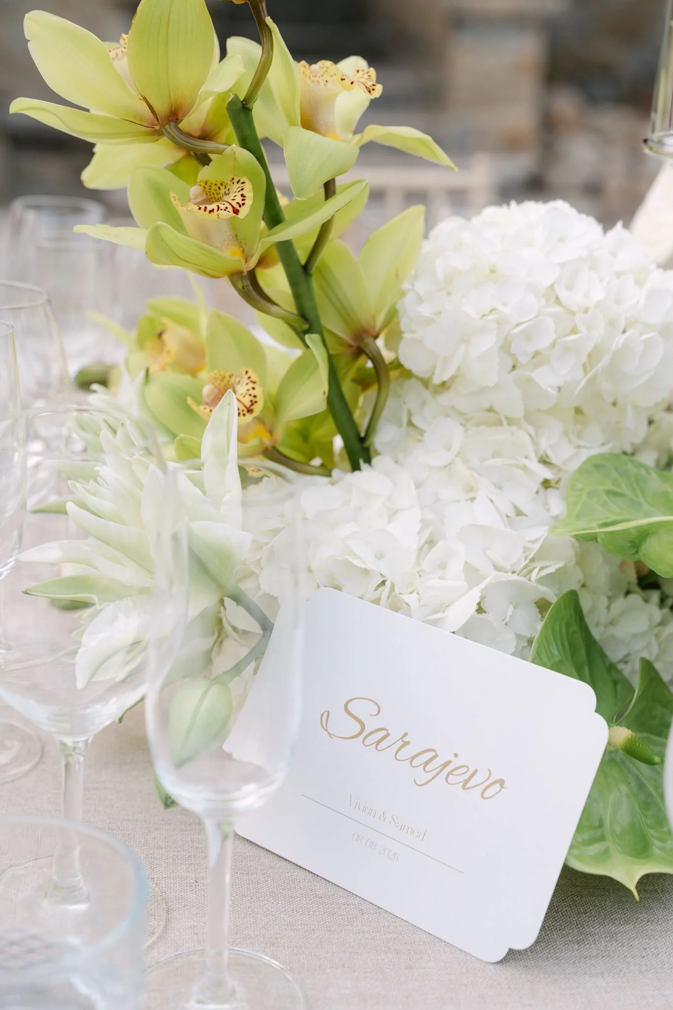 The Santoros - Vivien & Samed-1186.jpg